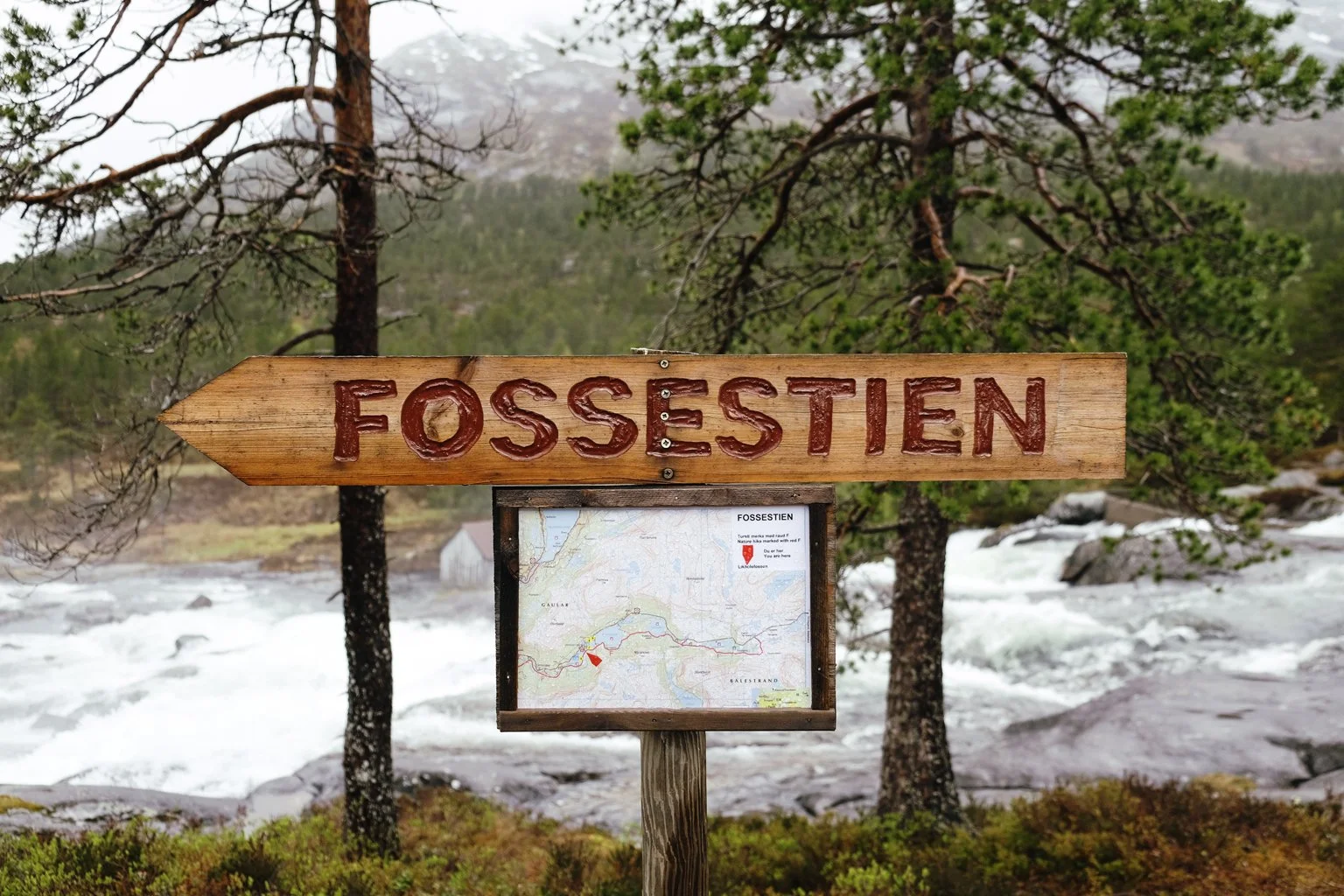 western_fjords_18.jpg