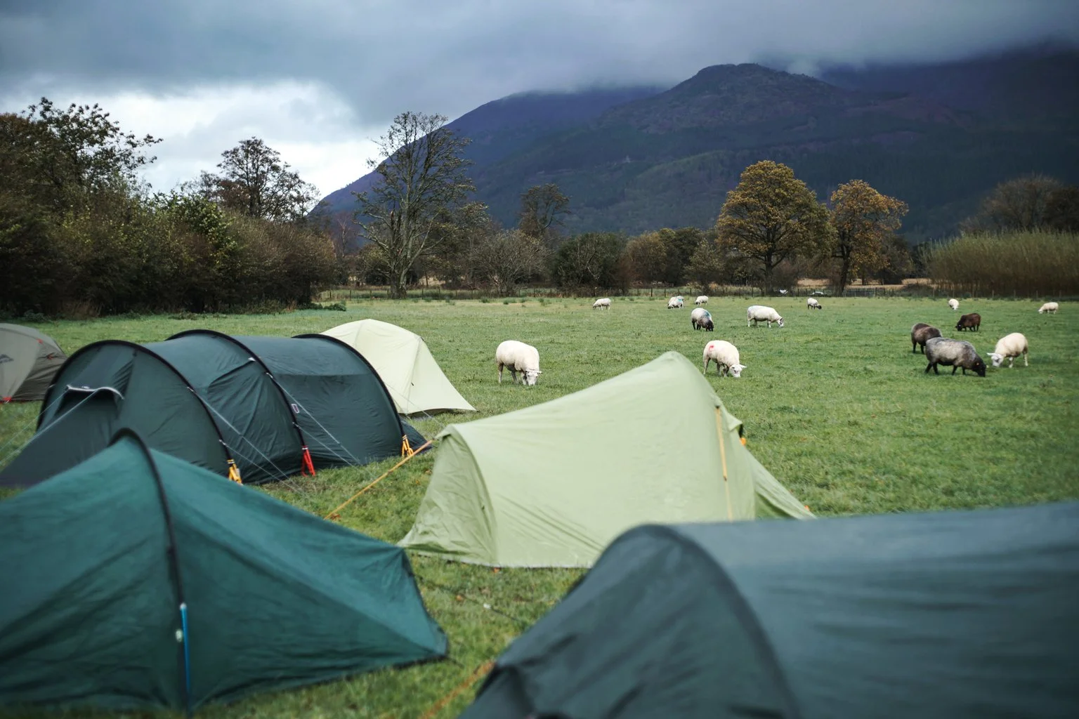 'Camp Millican'