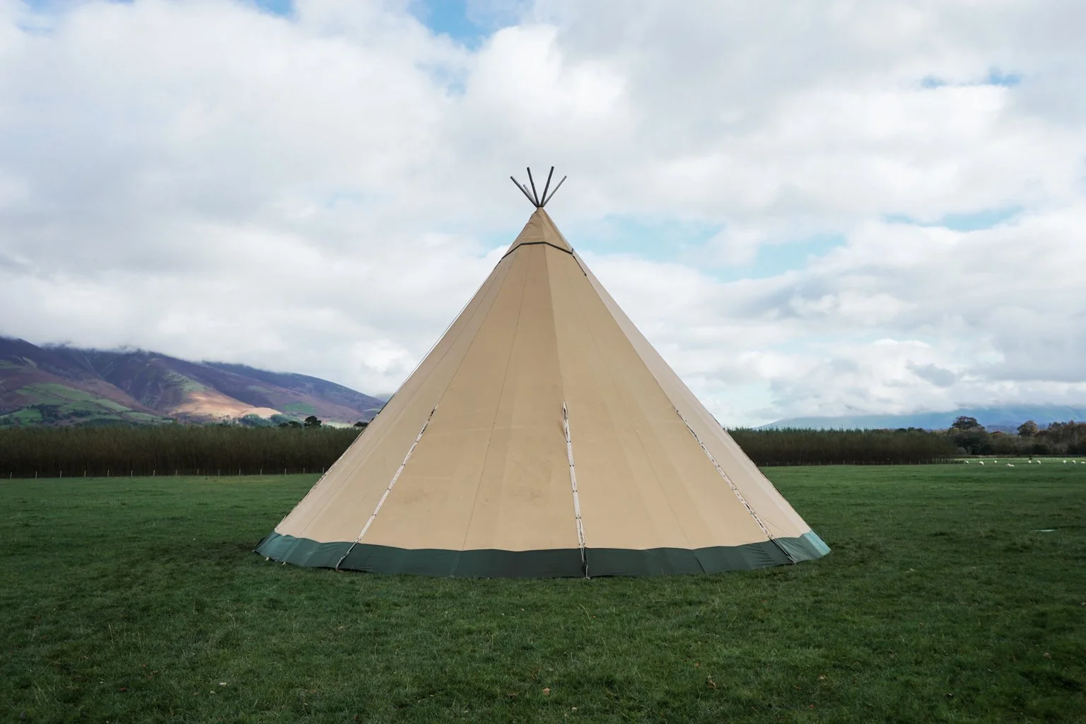 The giant Tentipi