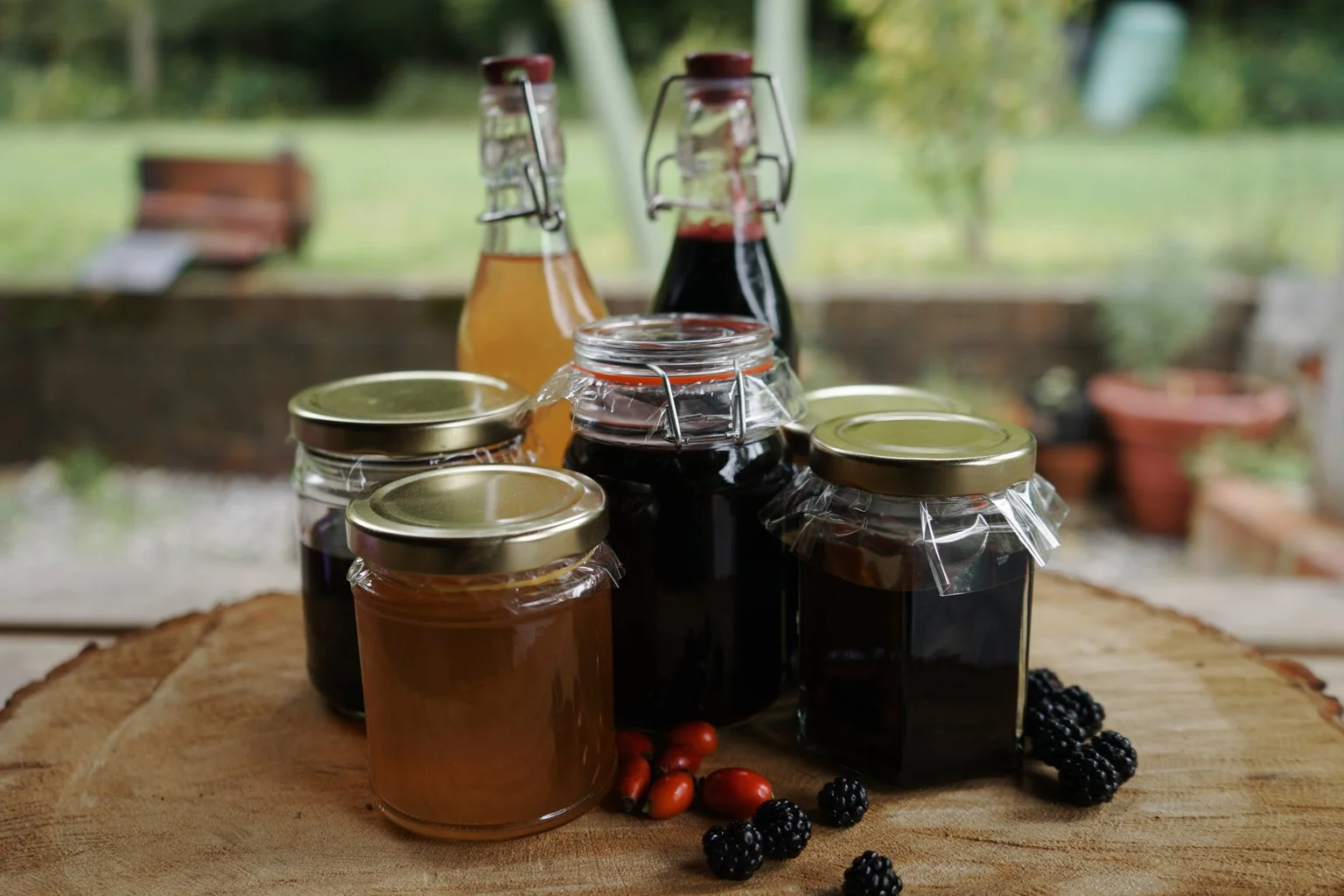 rosehip_syrup_6.jpg