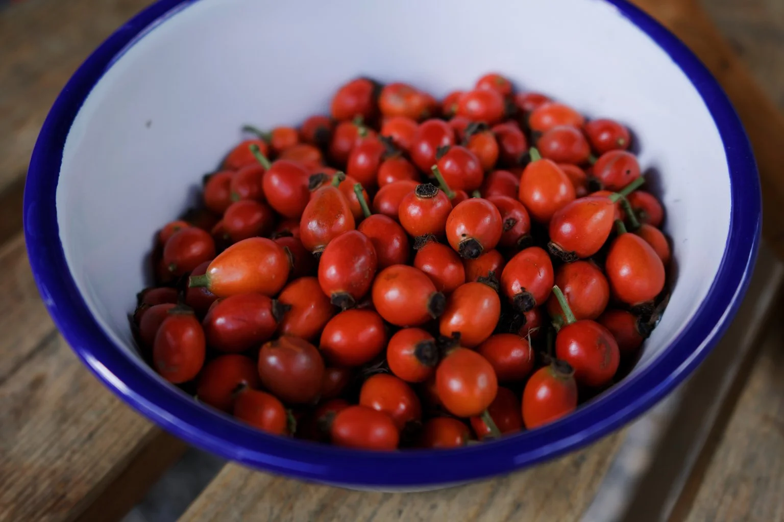 rosehip_syrup_4.jpg