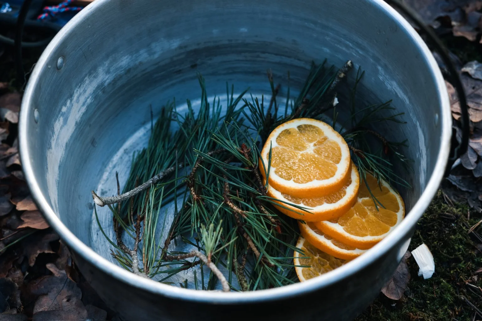 Christmas_Hot_Toddy_Lo_7.jpg