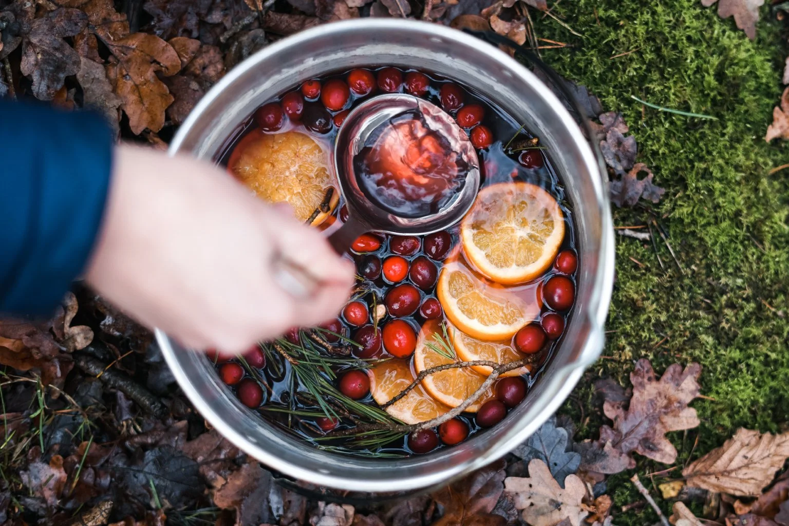 Christmas_Hot_Toddy_Lo_18.jpg