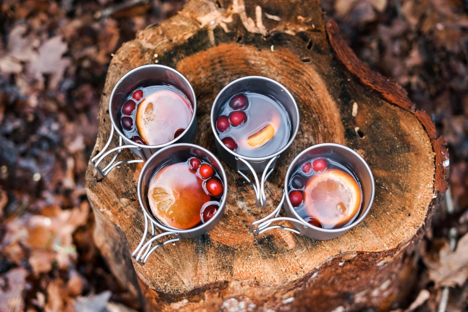 Christmas_Hot_Toddy_Lo_19.jpg