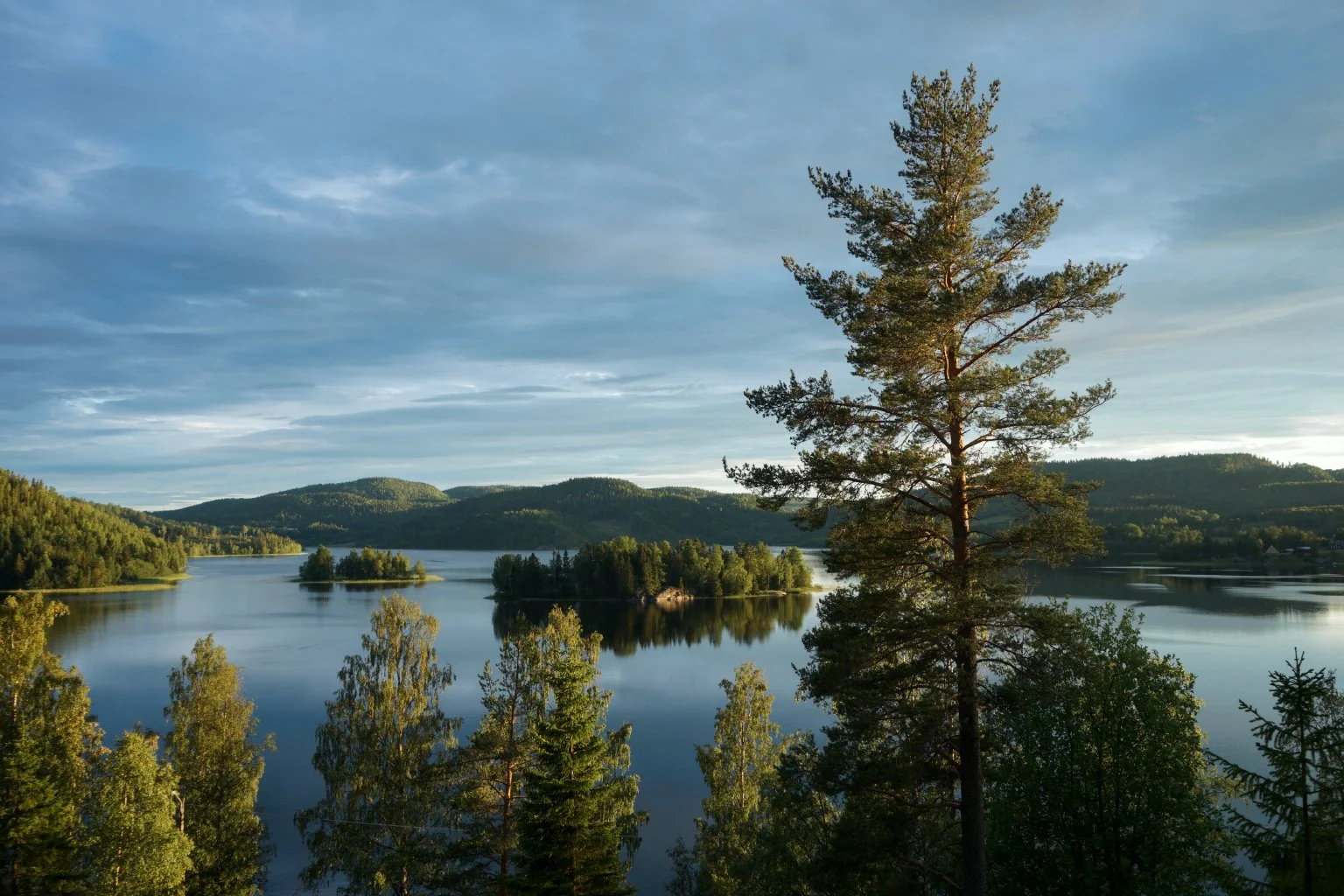 LakeIsland2.jpg