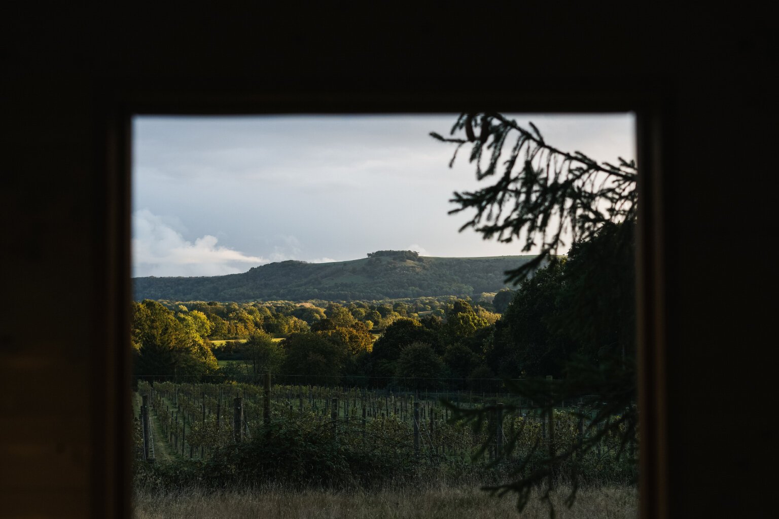 View from the cabin 