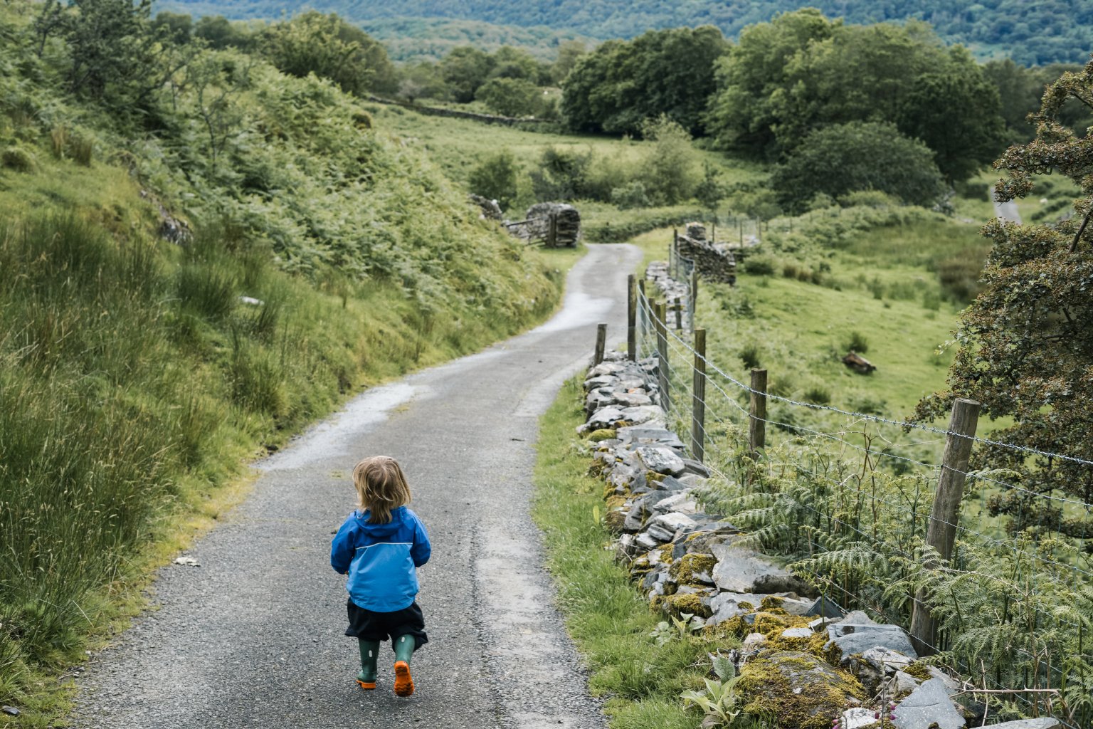 snowdonia_2019_34.jpg