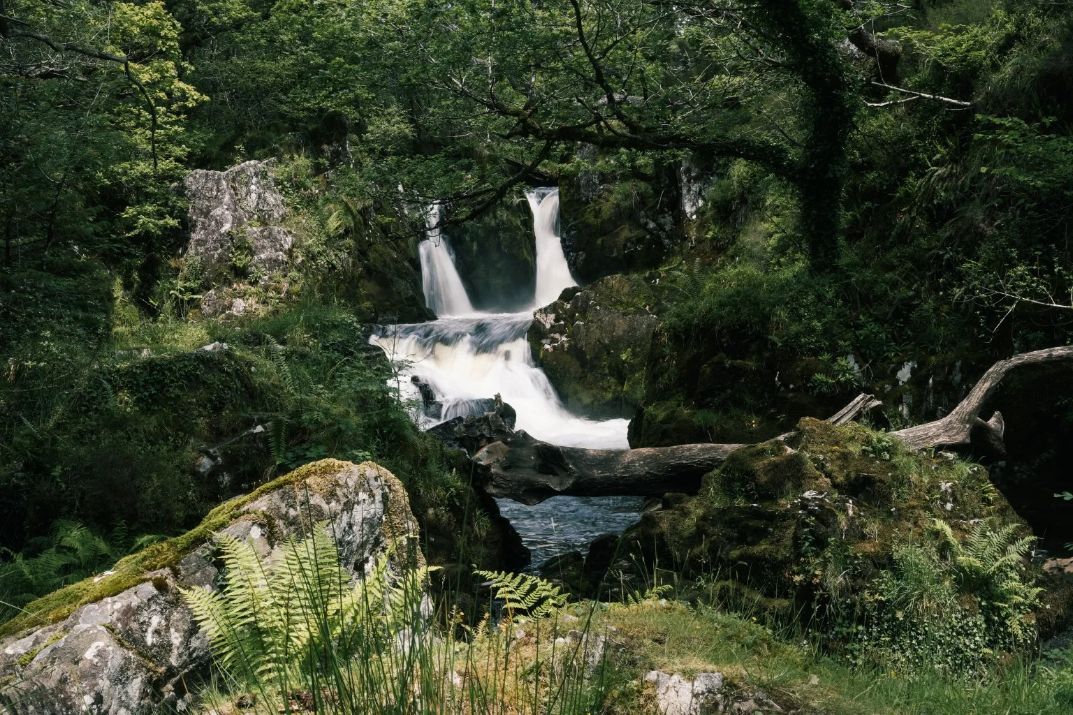 snowdonia_2019_12.jpg