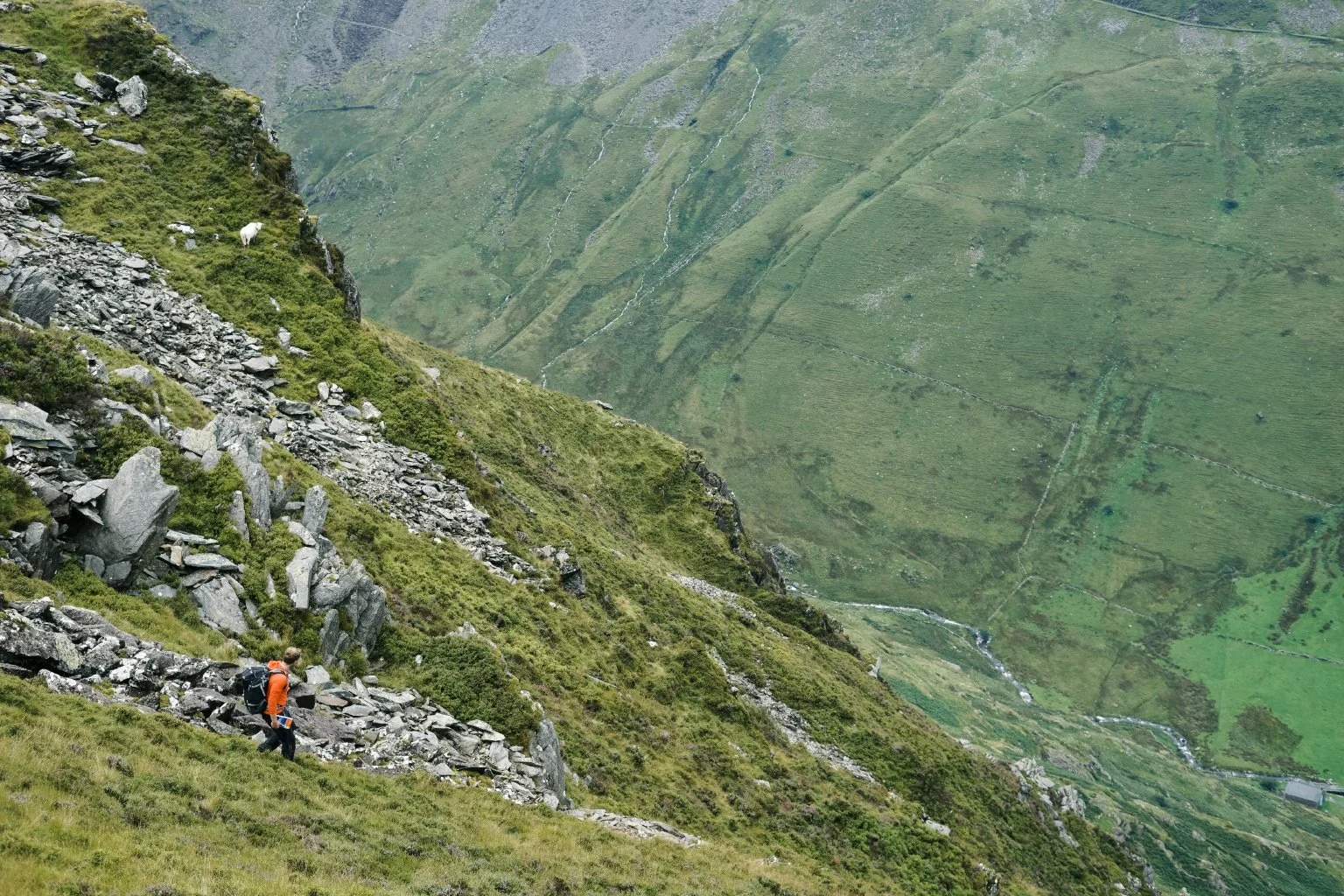 PlasYBrenin_8.jpg