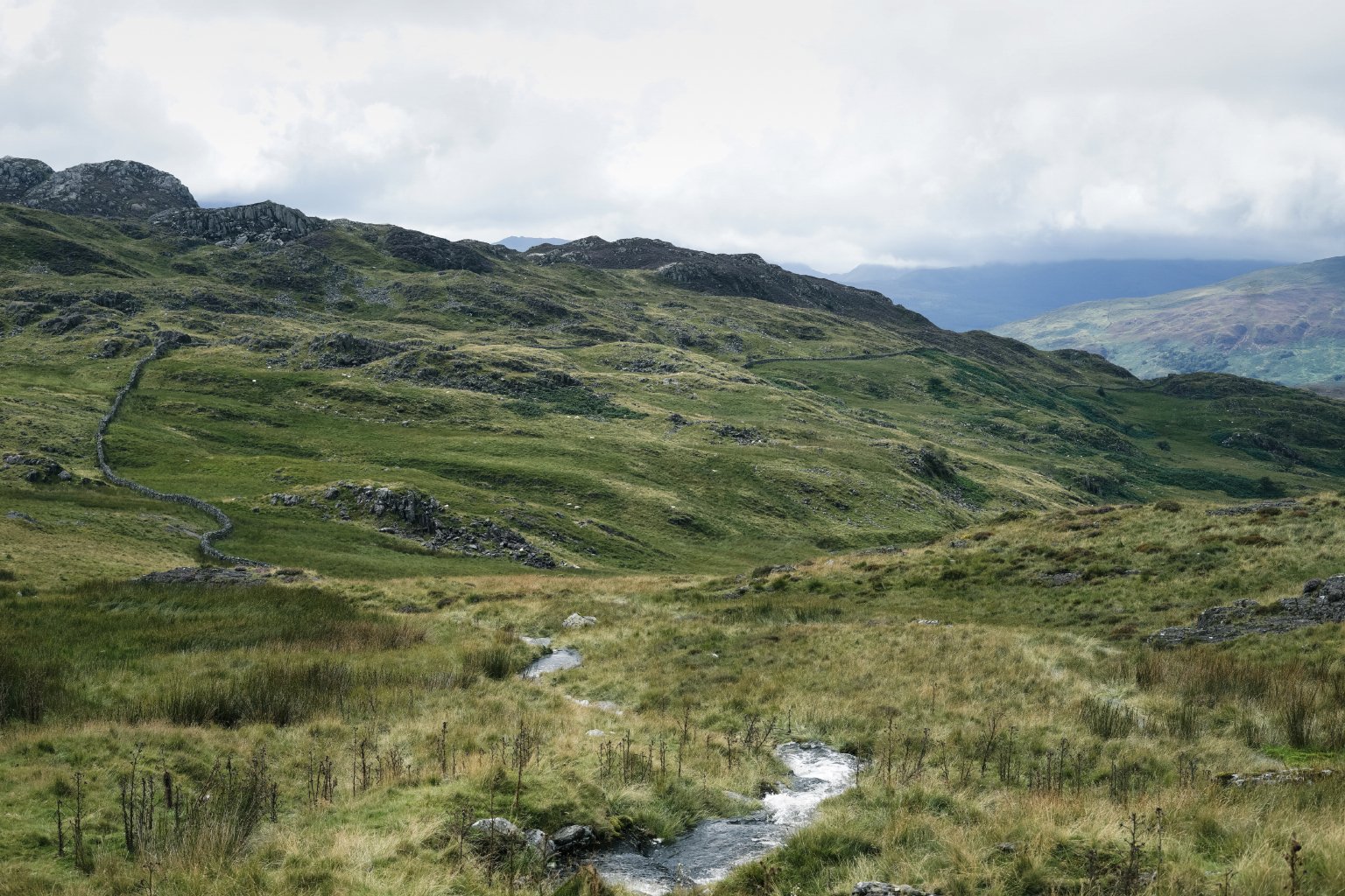 PlasYBrenin_9.jpg