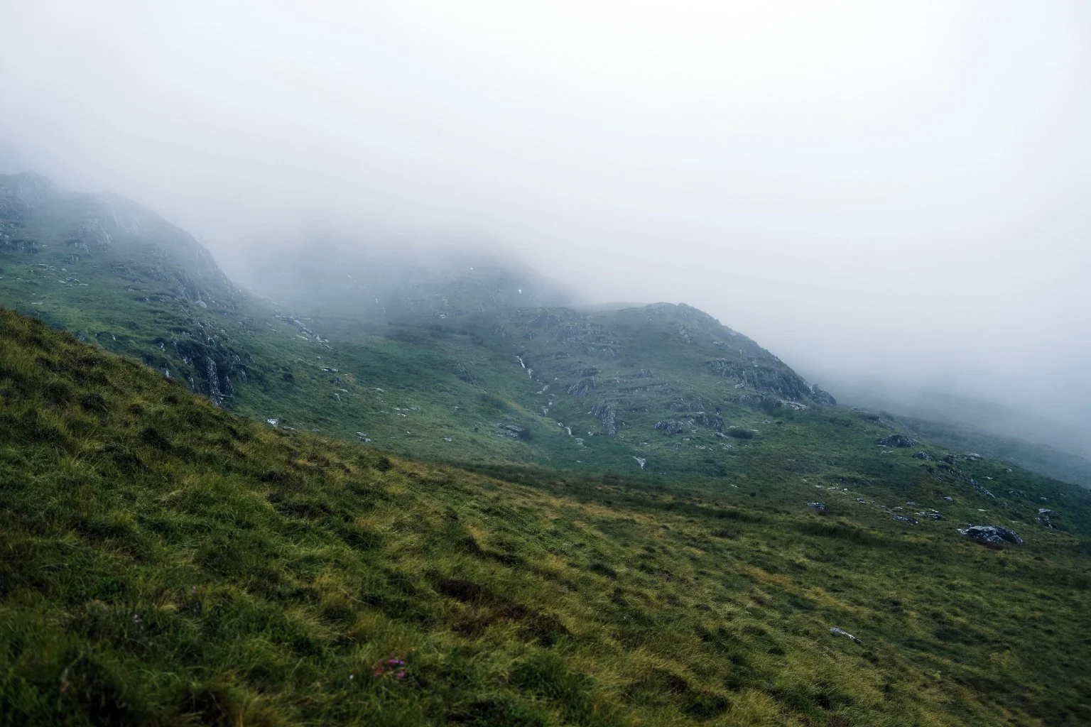 PlasYBrenin_15.jpg