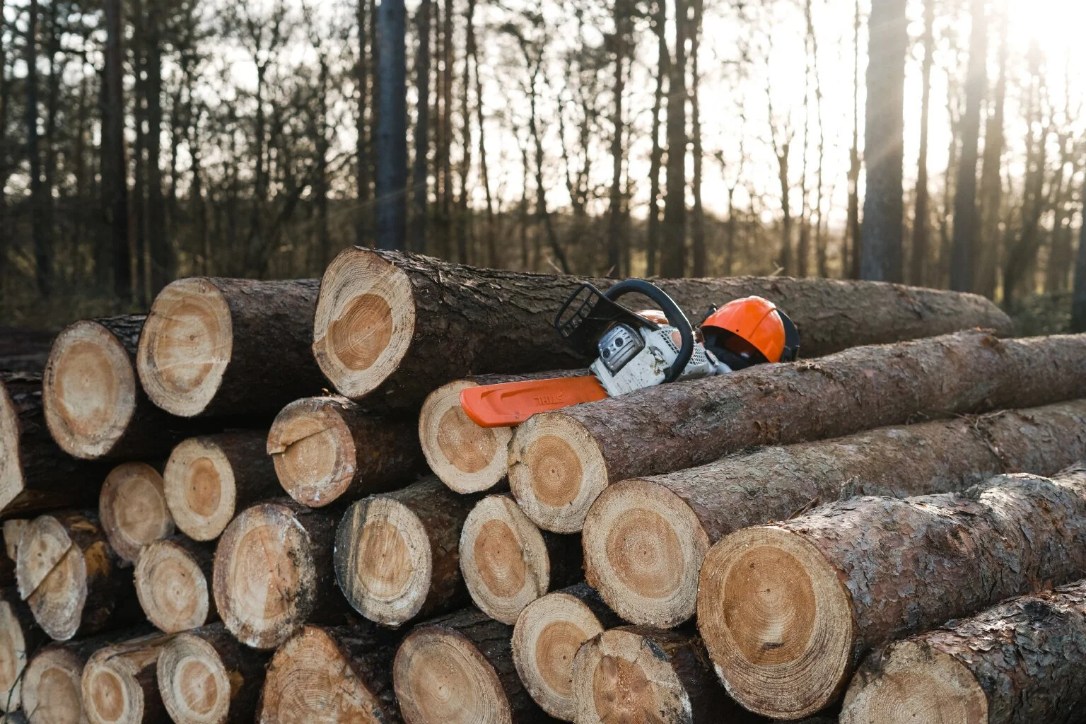  Stacked and ready for collection by our local sawmill. 