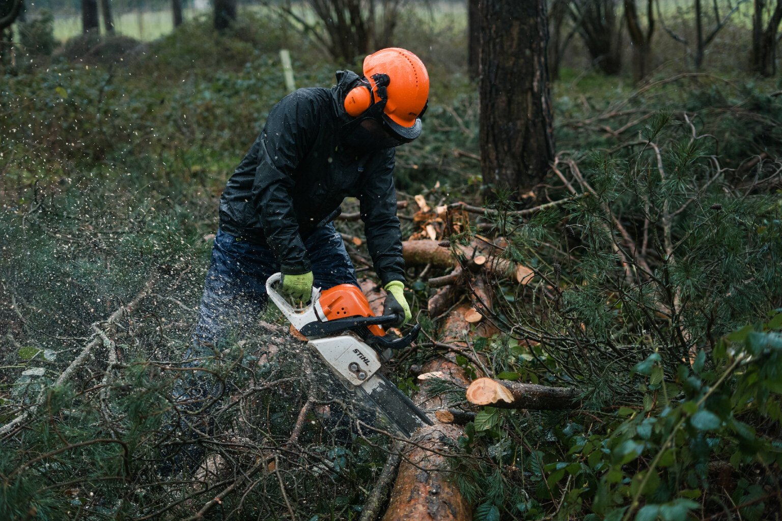A Woodsman's Work is Never Done