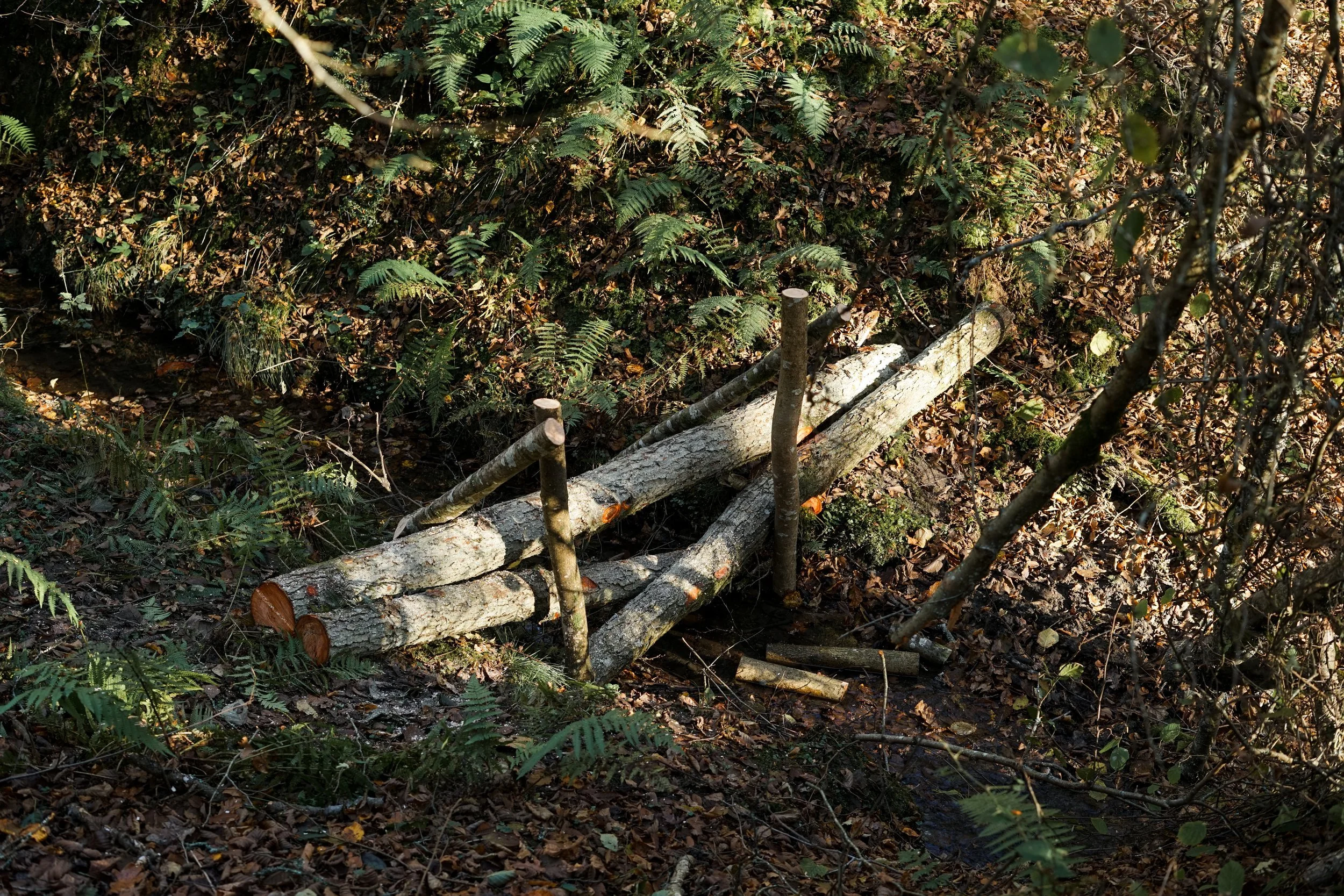 Making leaky dams - Video