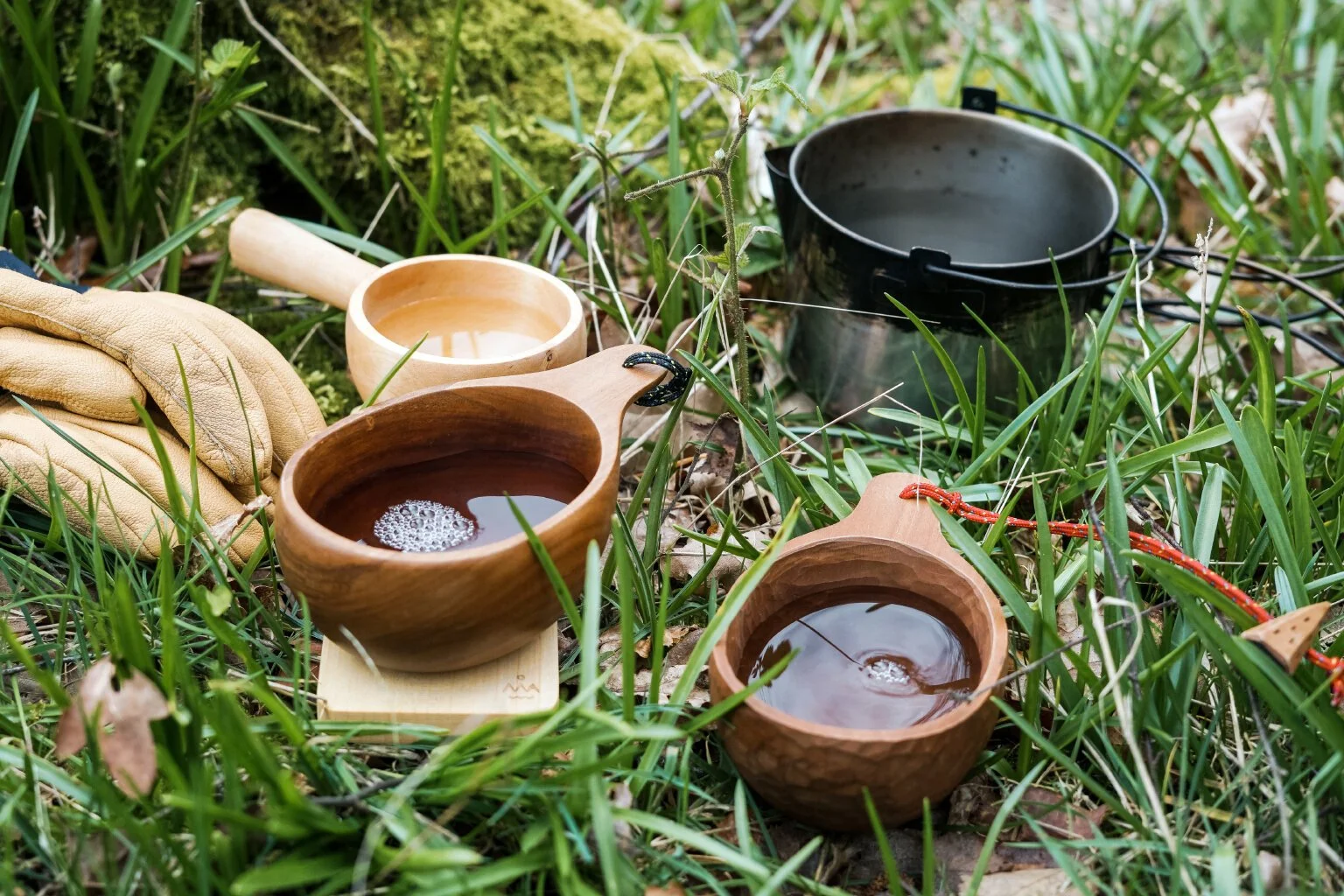 Birch_Sap_Collecting_2020_3.jpg