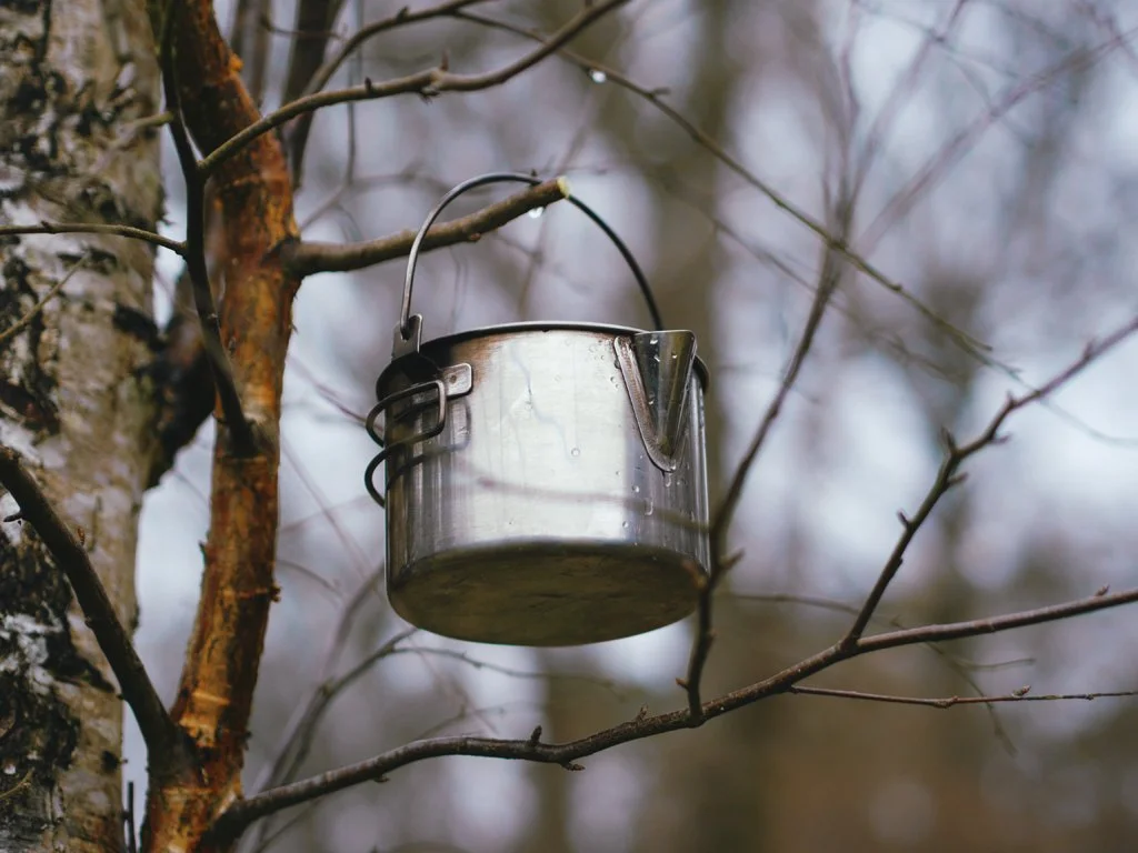 Tap the Sap!