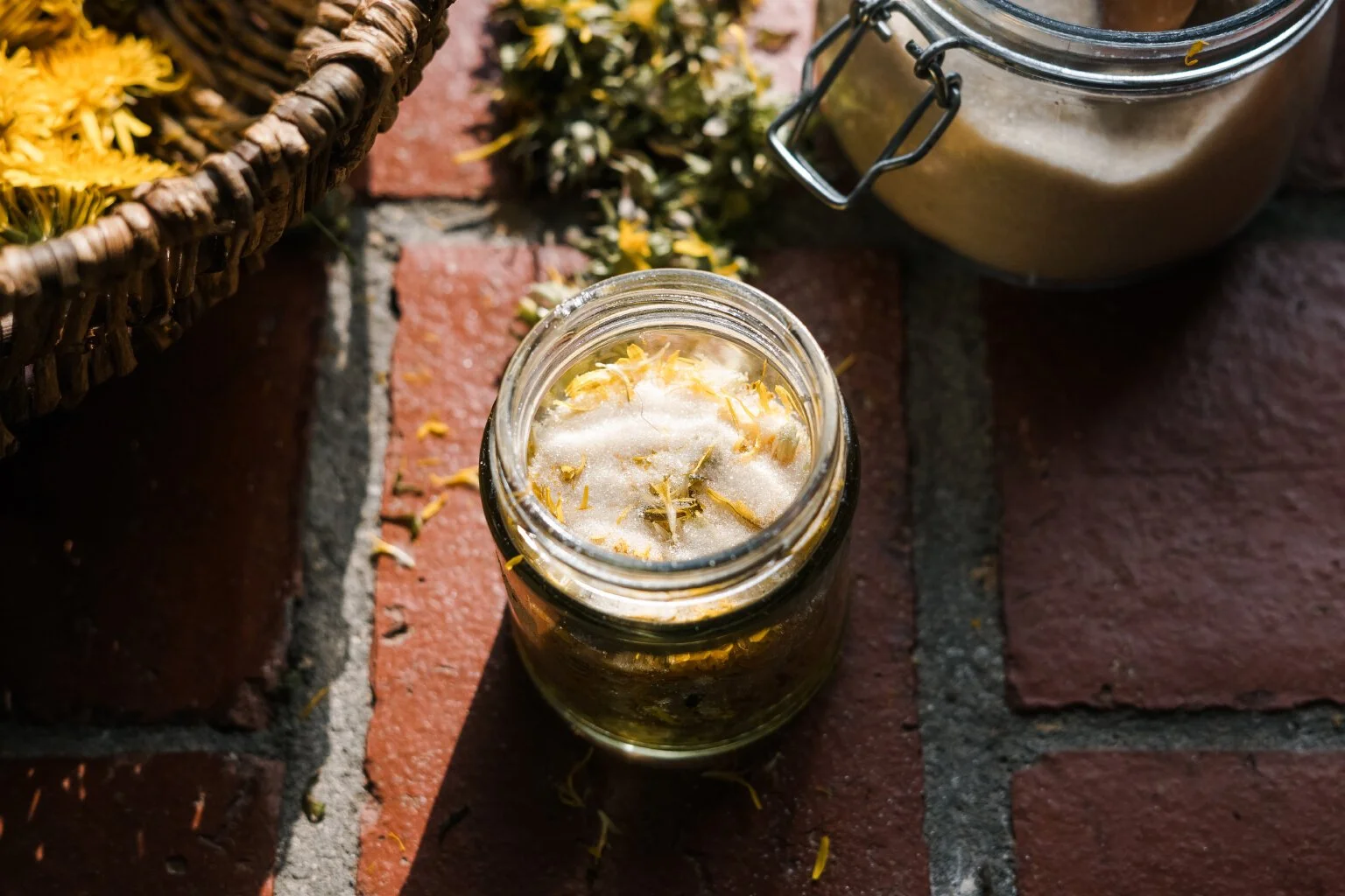 Dandelion_Syrup_5.jpg