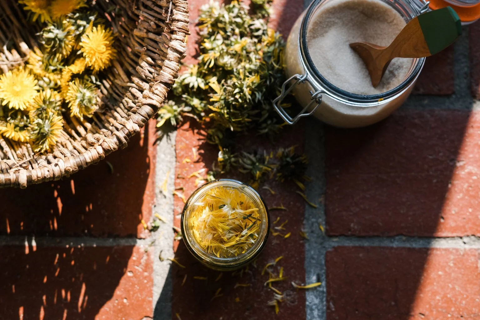 Dandelion_Syrup_6.jpg