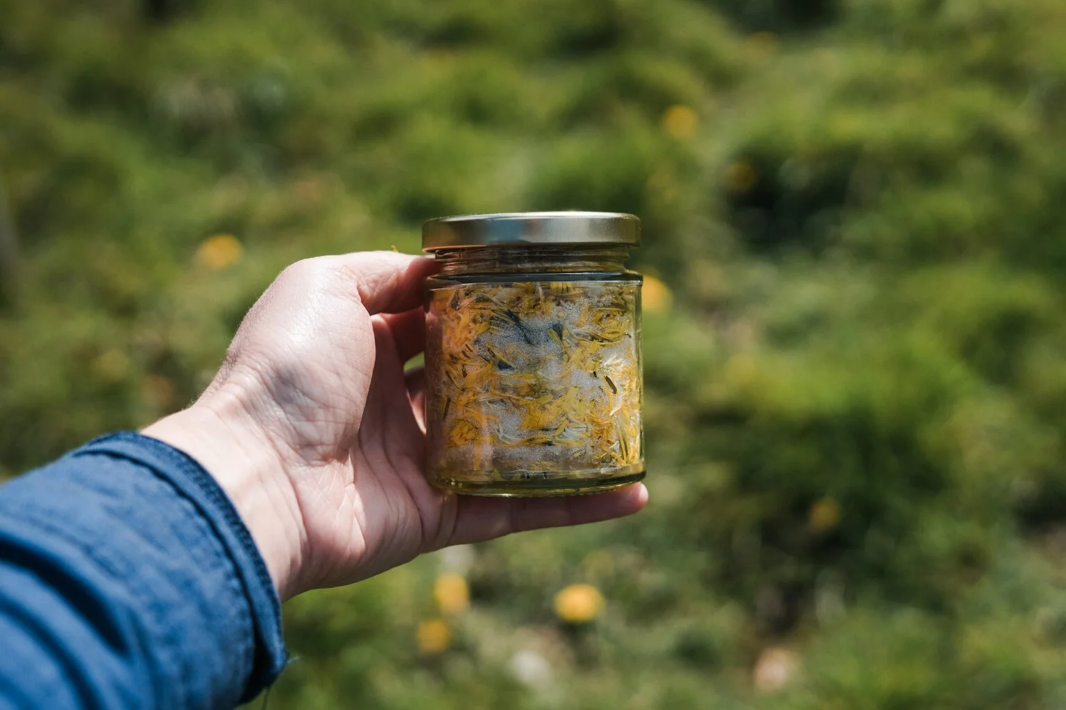 Dandelion_Syrup_7.jpg