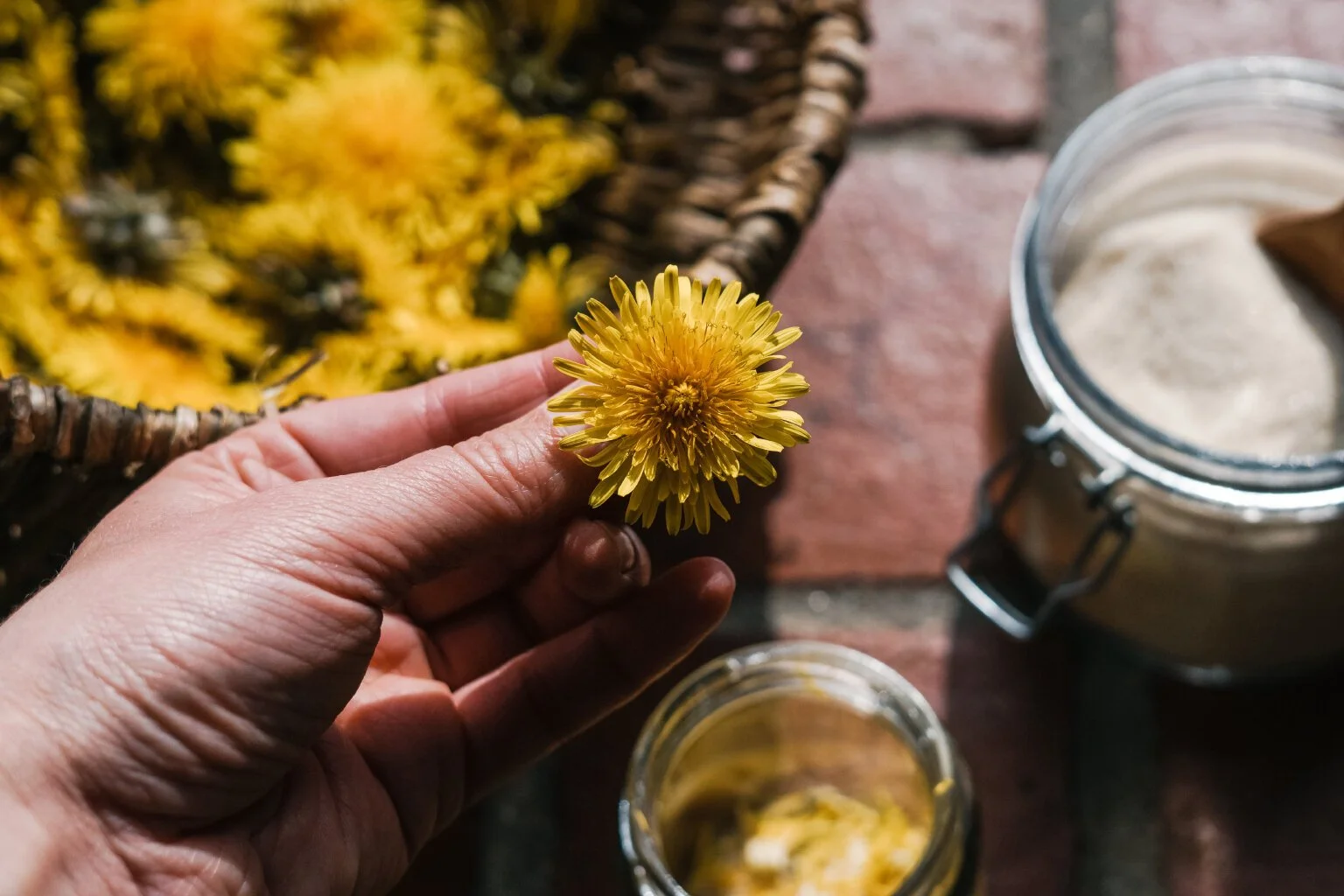 Dandelion Syrup - A Taste of Spring!