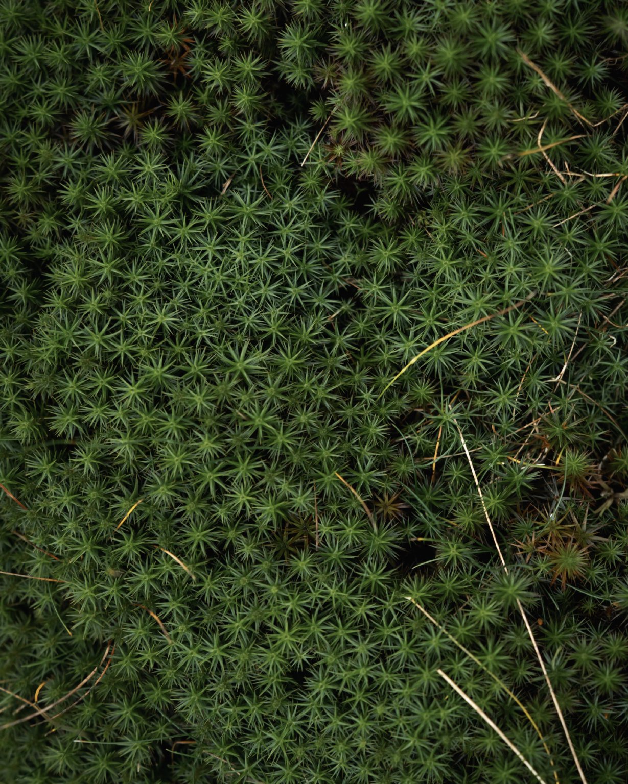 Details_11.jpg