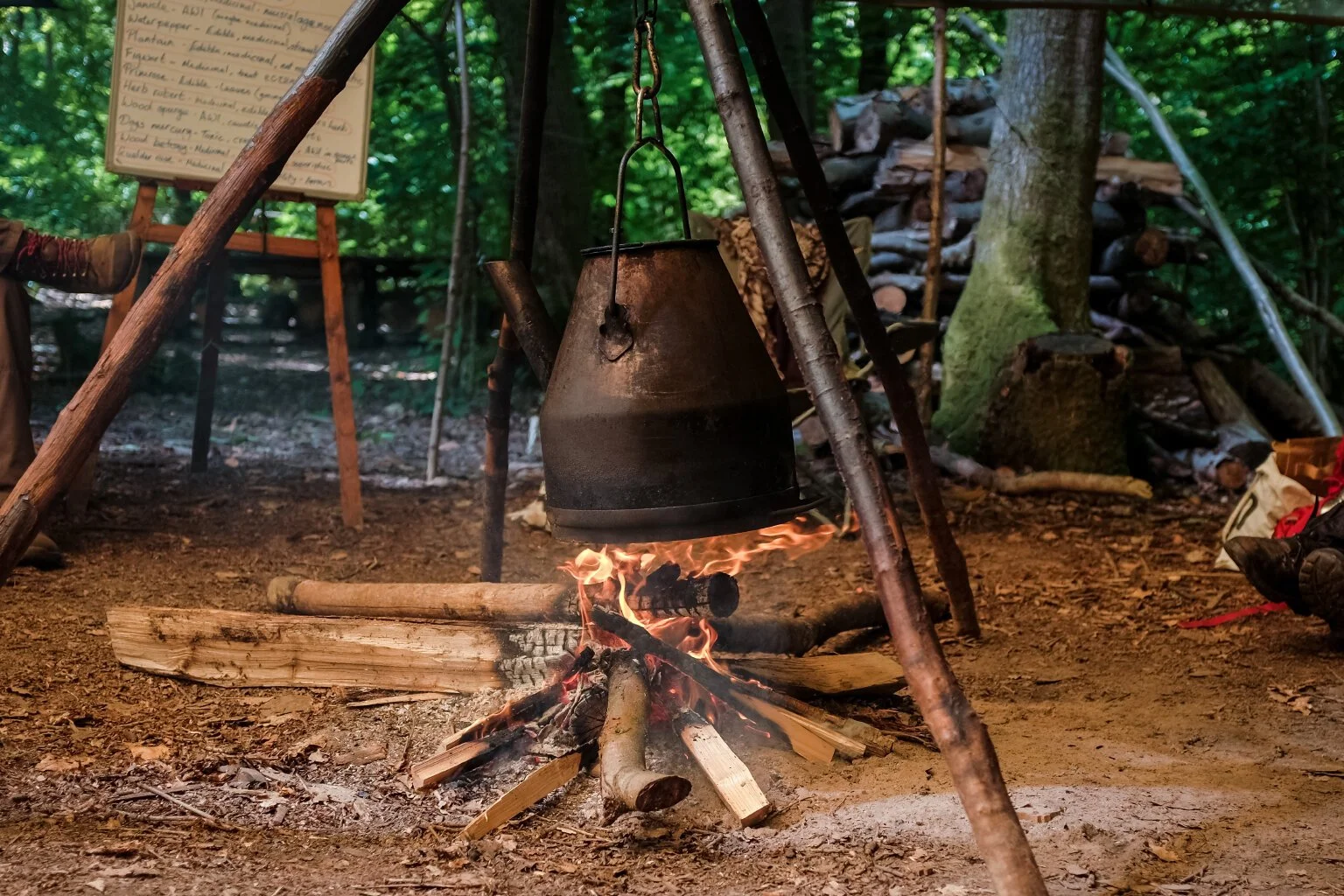 Ethnobotany_Emma_2.jpg