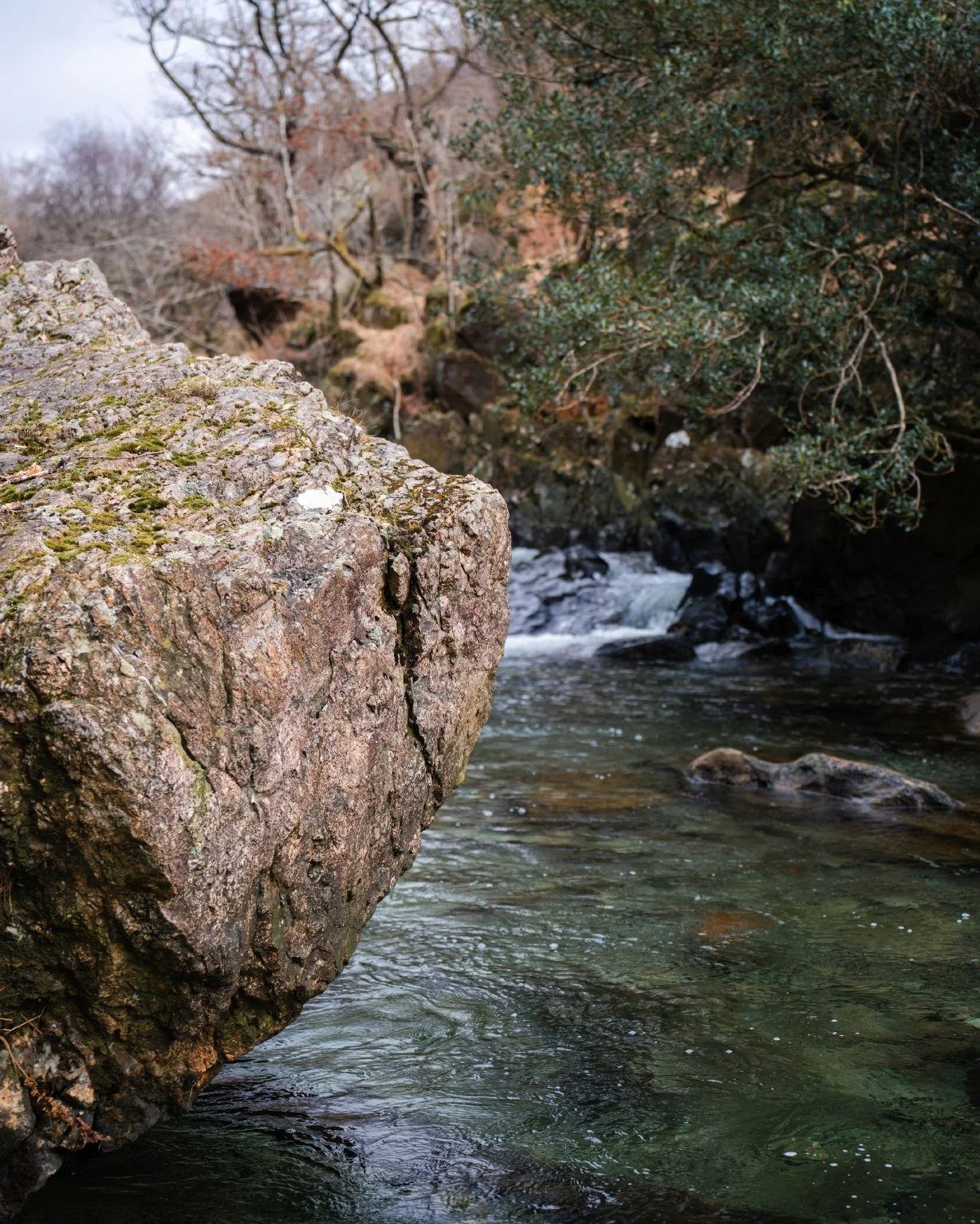 Valley_January_27.jpg