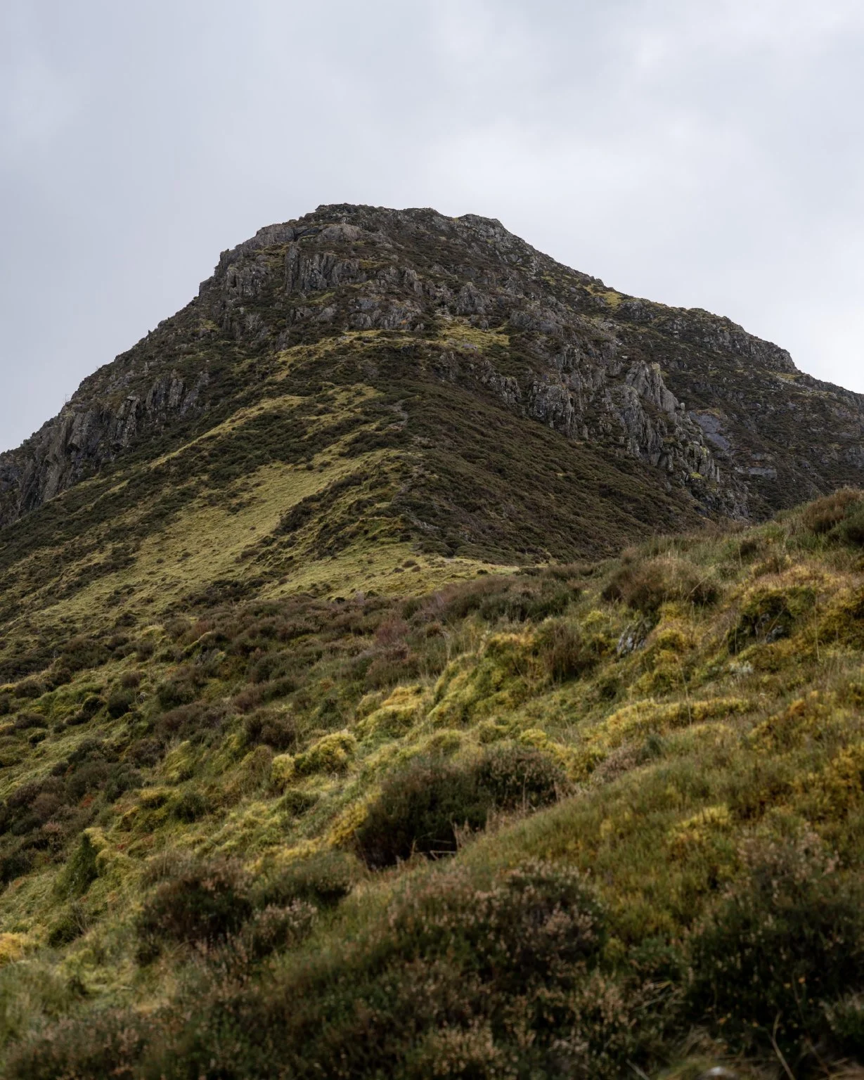 Fleetwith_Pike_17.jpg