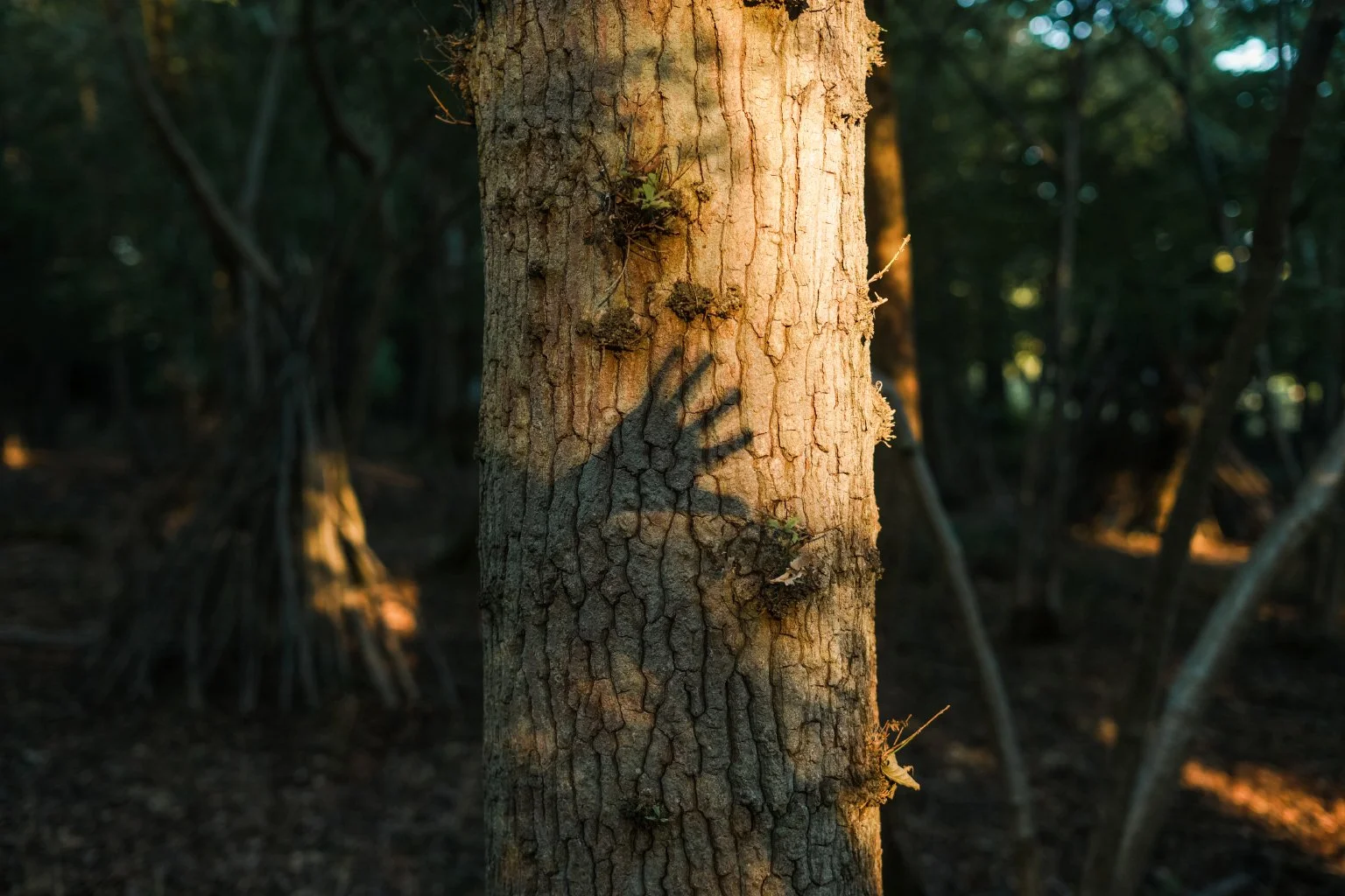 Our Top Tips for Nature Connection