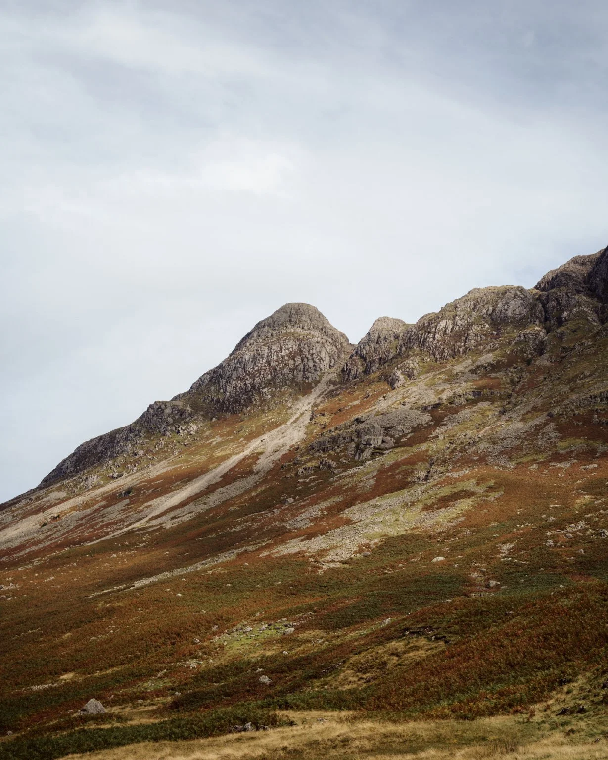 Fjallraven_Classic_UK_2025_4.jpg