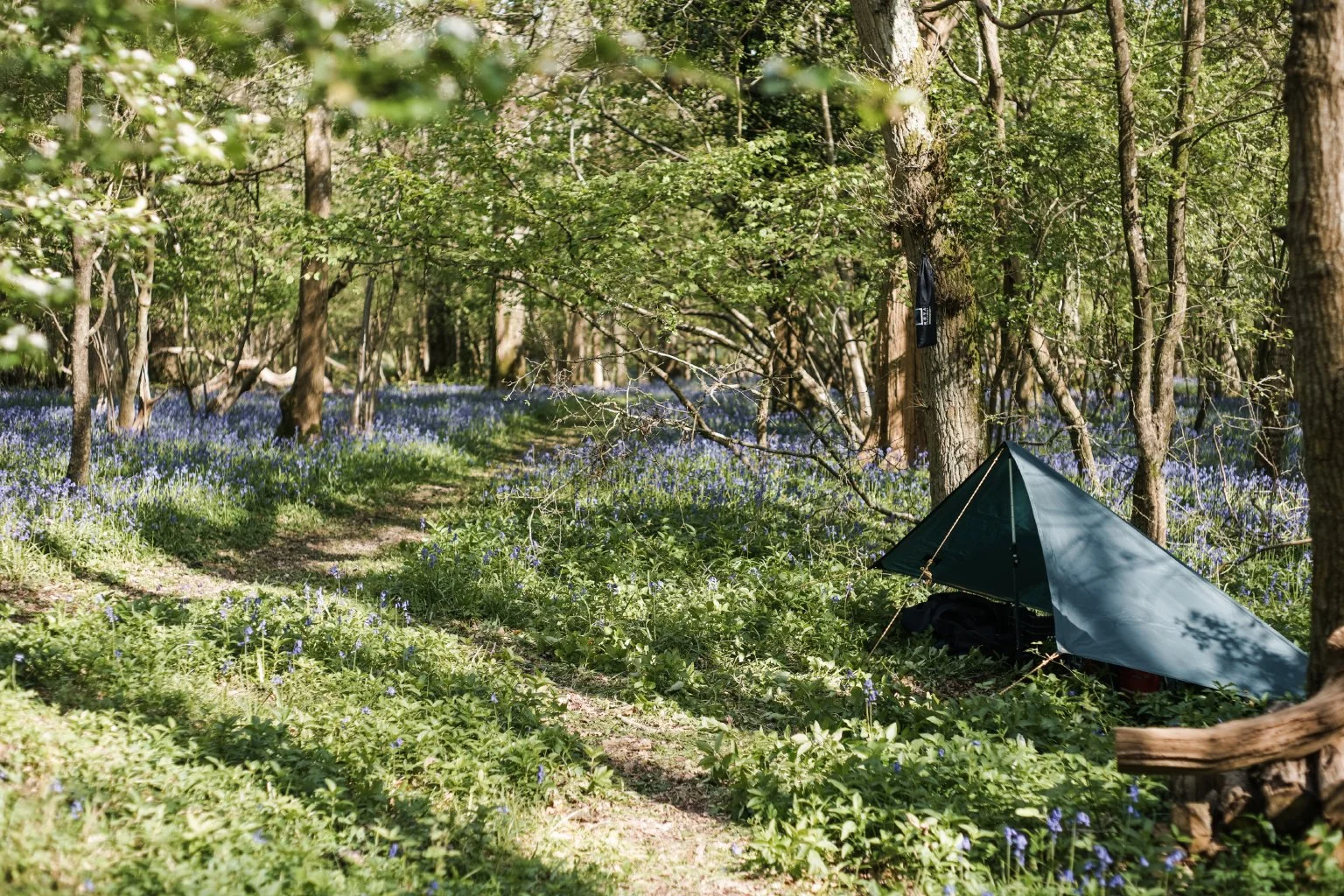 Woodland_Workshop_April_2019_5.jpg