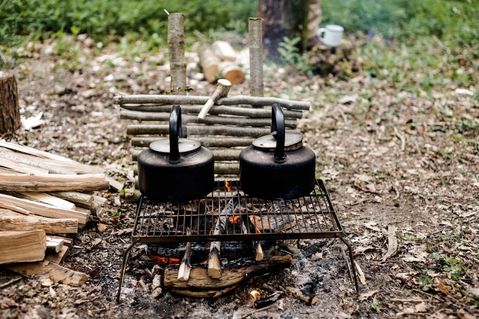 Woodland_Workshop_April_2019_3.jpg