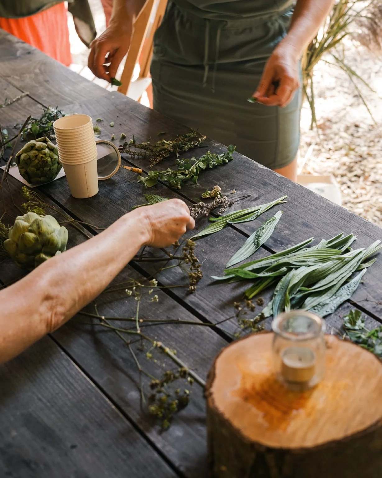 Teaching a wild tea foraging workshop at the Campfire Stories Micro Festival in The Netherlands