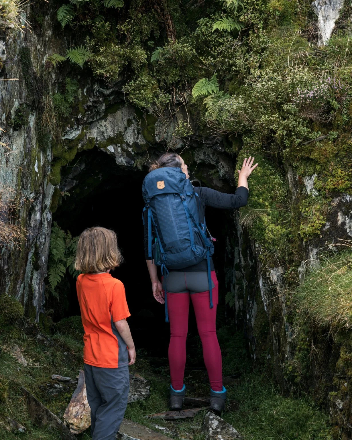 Searching for bilberries