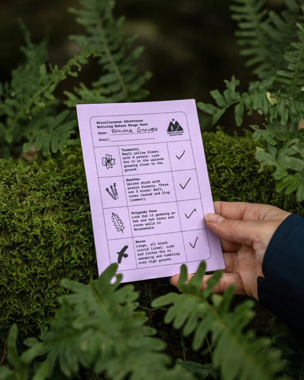 Nature_Bingo_1.jpg