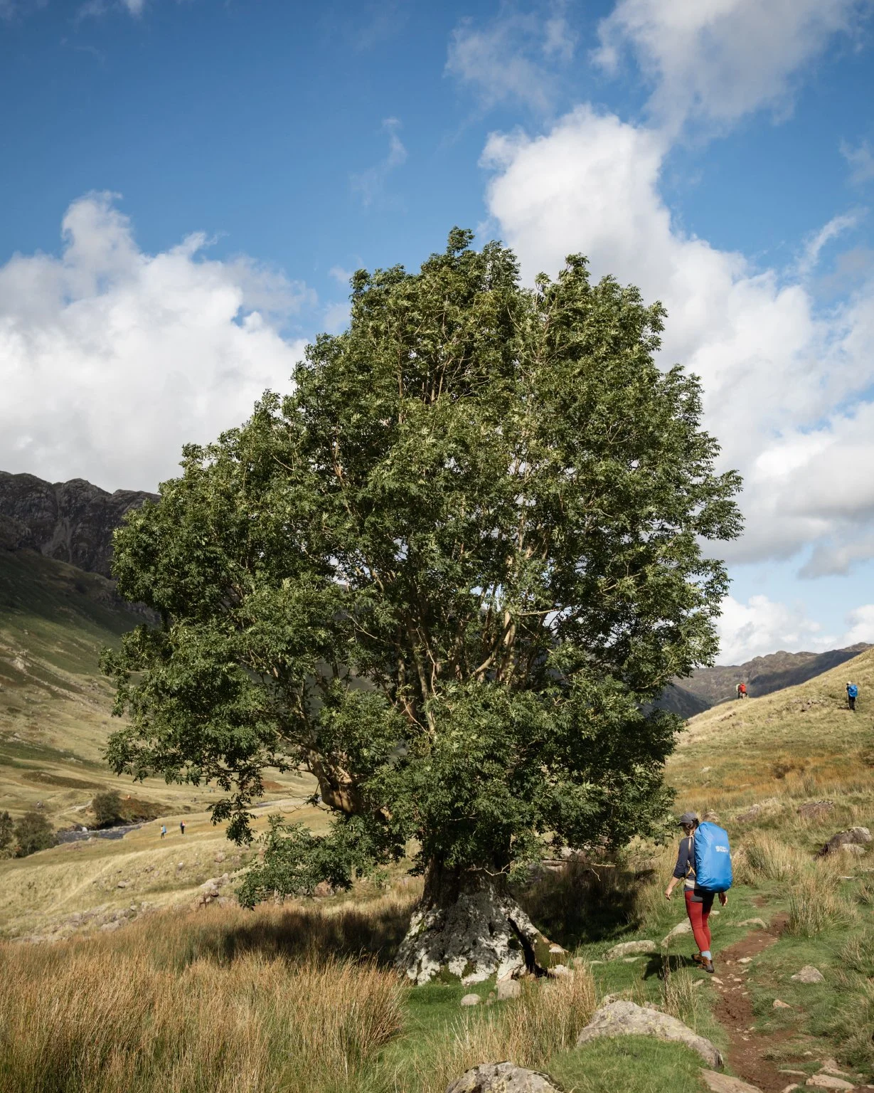 Fjallraven_Classic_2026_13.jpg