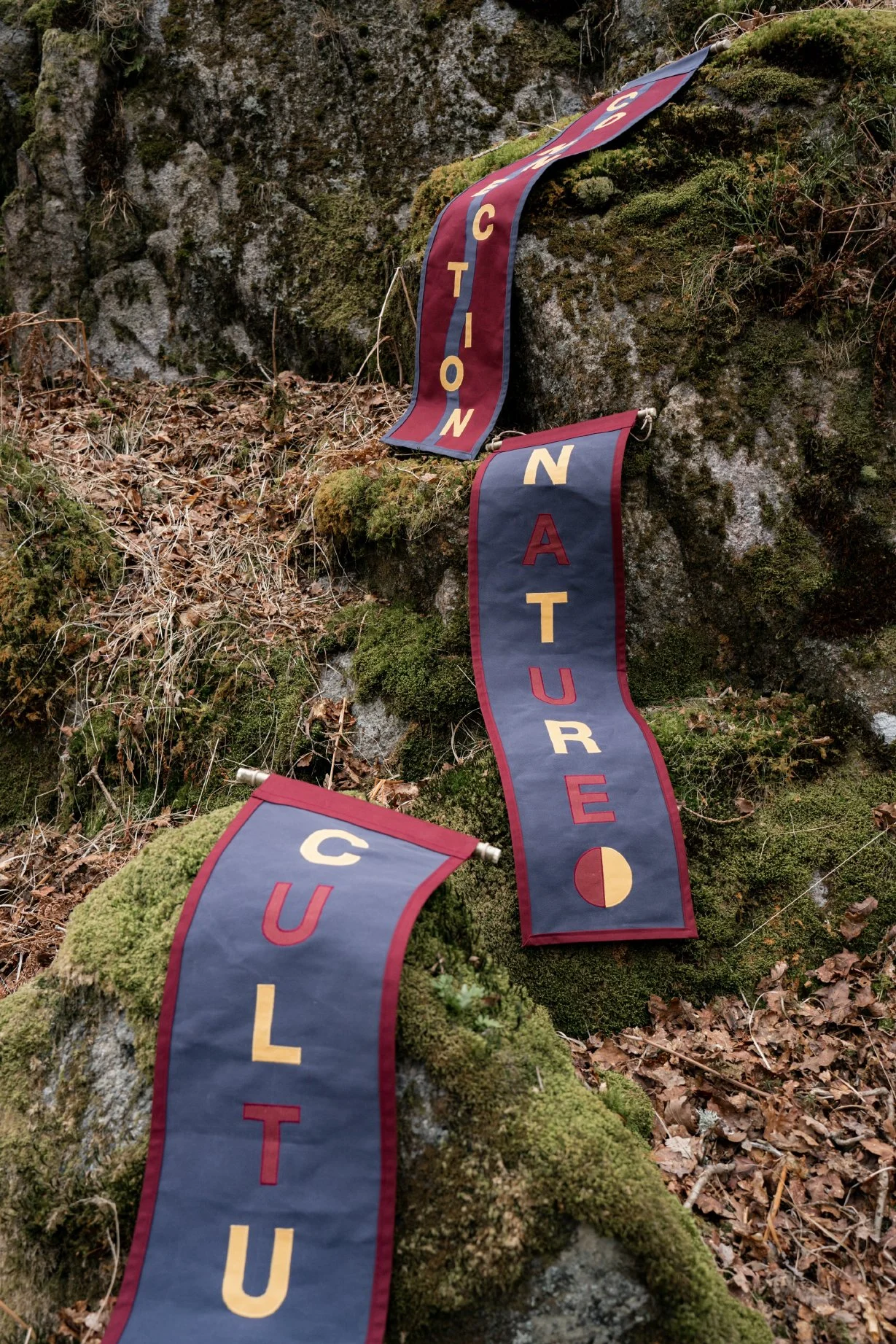 Connection_Flags_Draped_4_Lo.jpg
