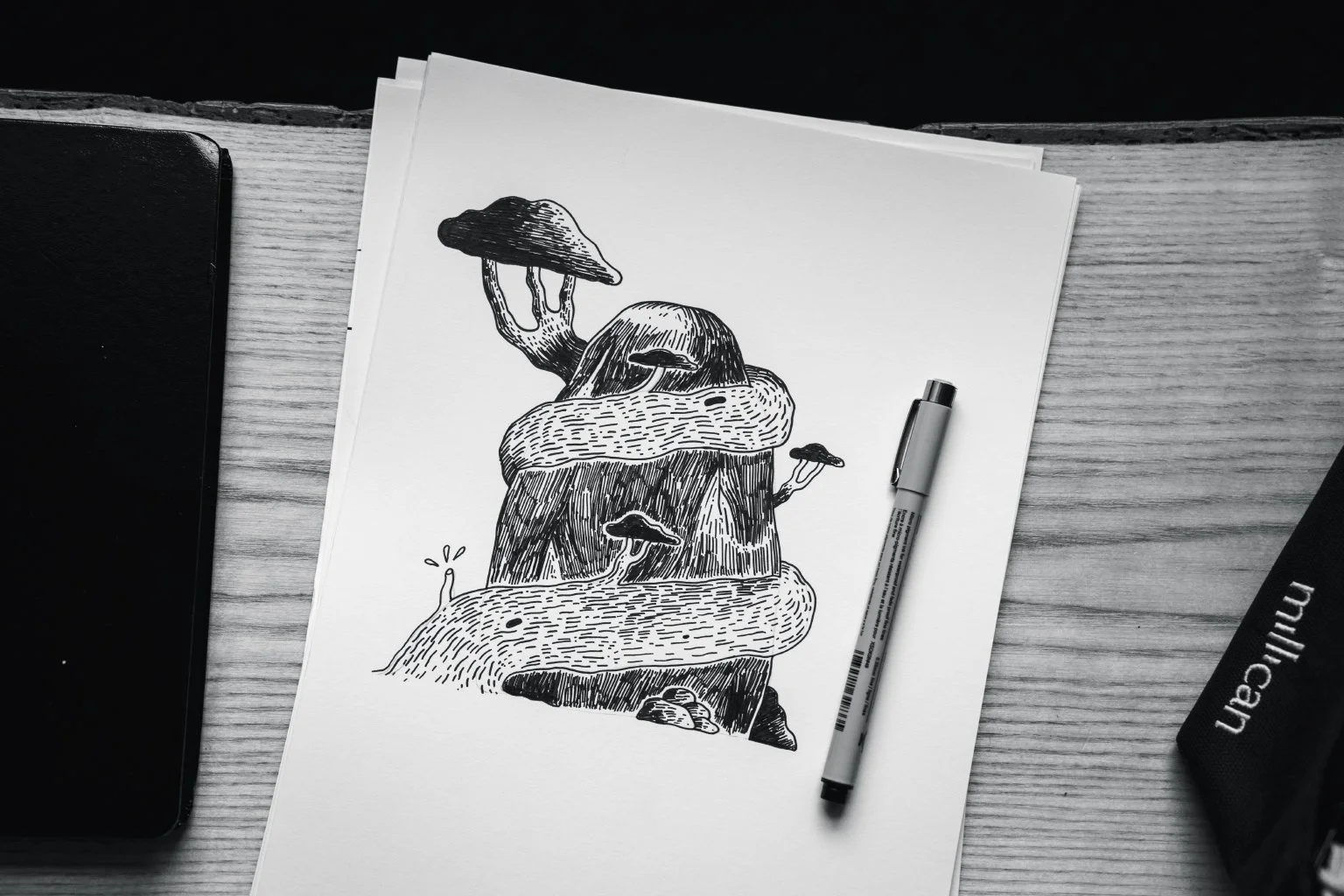 Sketchbook_4.jpg