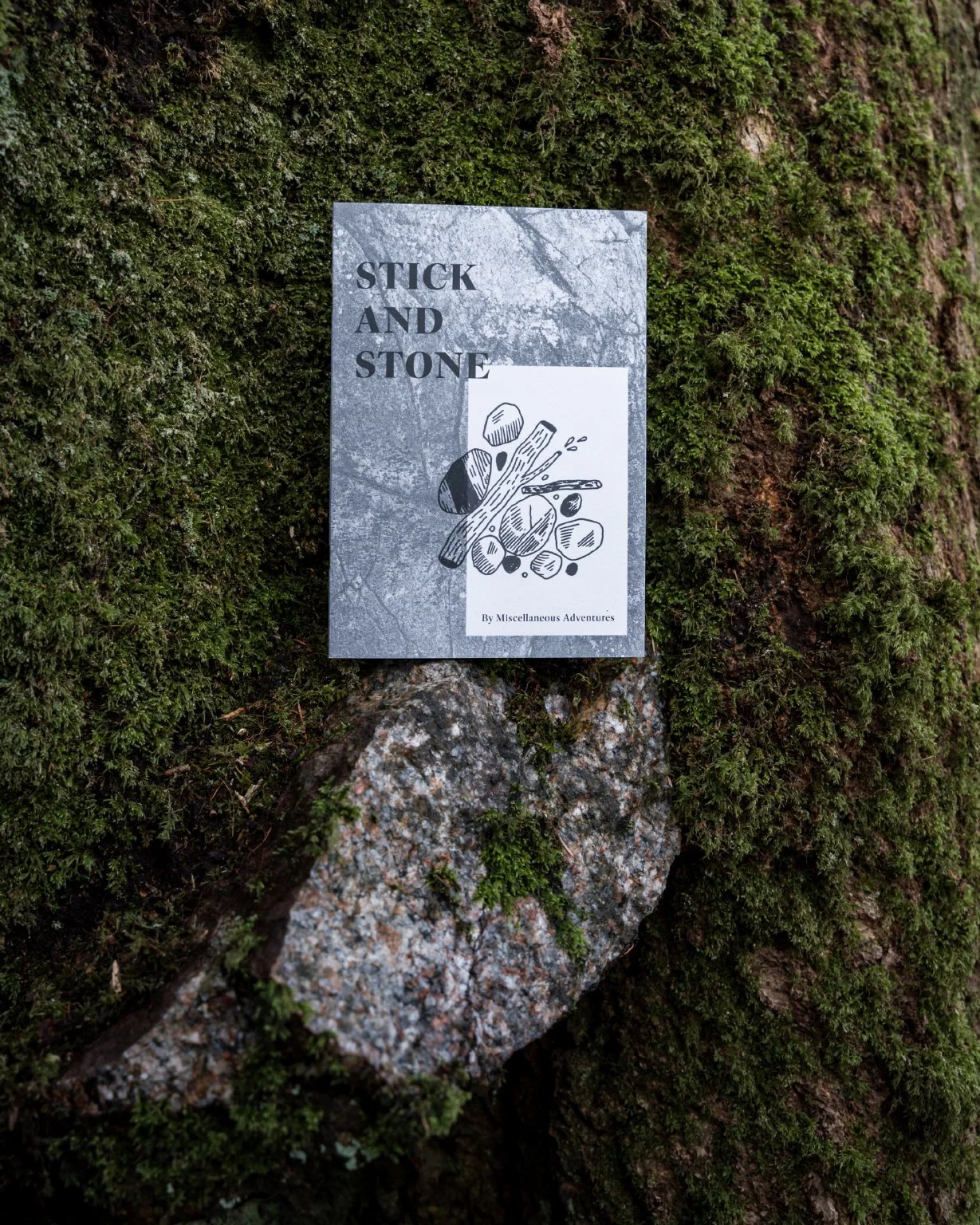 Stick_Stone_1.jpg