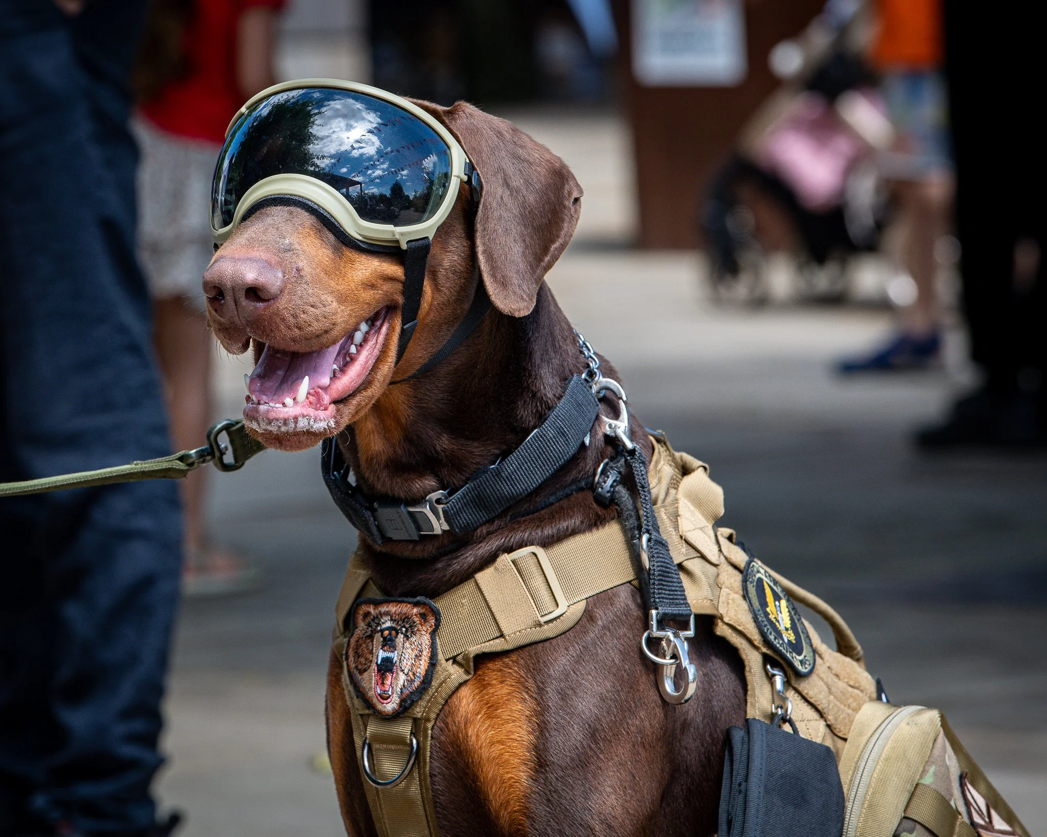 rttw-_ONE0729-Socials.jpg