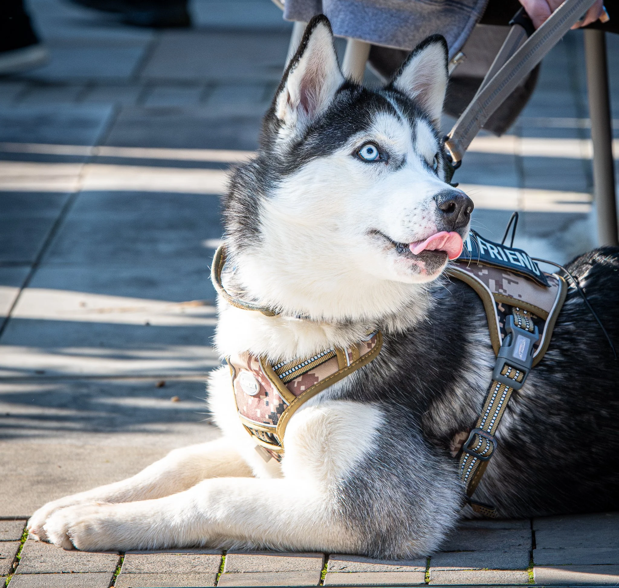 rttw-_DSC5674-Enhanced-NR-Socials.jpg