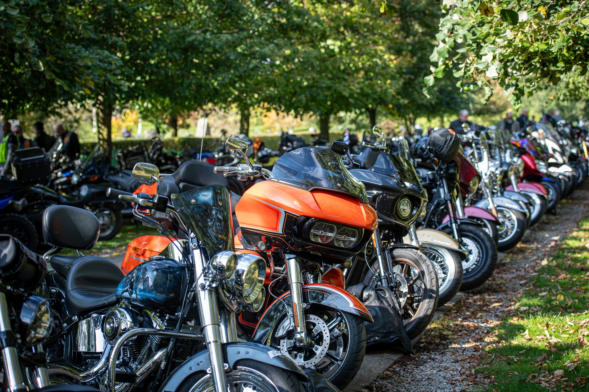 rttw-_DSC5758-Enhanced-NR-Socials.jpg