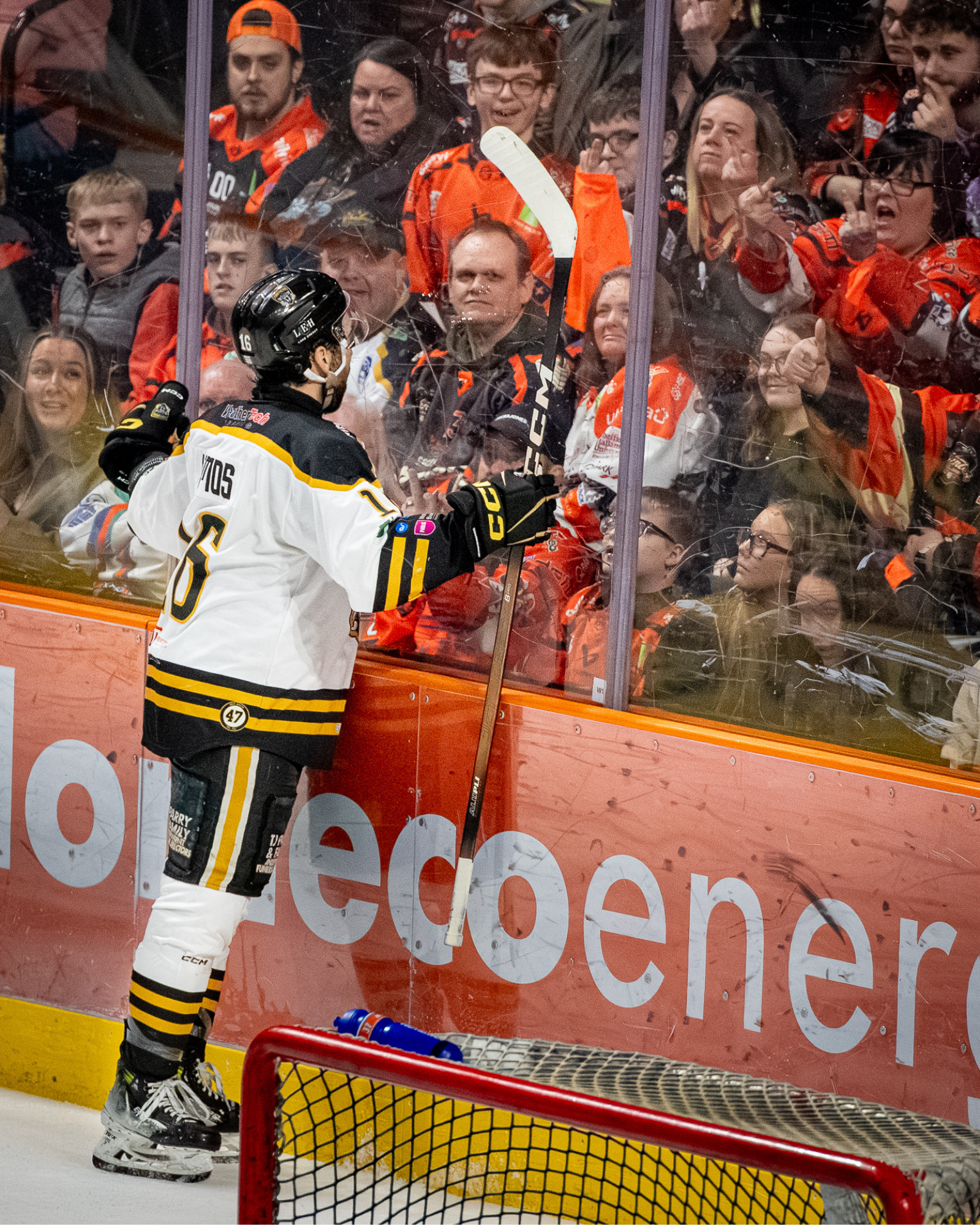 Hockey player in white and yellow uniform facing group of spectators behind protective glass, with fans showing various expressions and gestures.