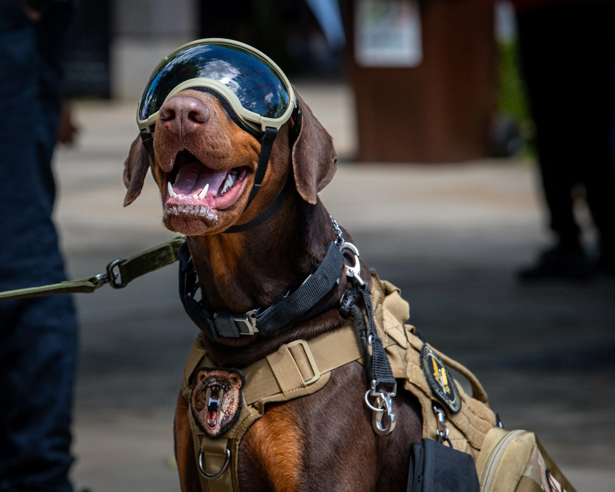 rttw-_ONE0723-Socials.jpg