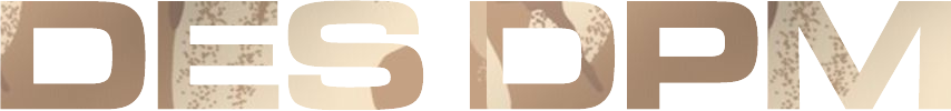 DES DPM.png