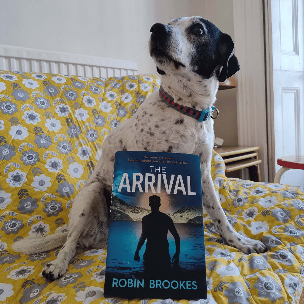 A black and white dog sitting on a yellow floral-patterned bedspread, with a book titled 'The Arrival' by Robin Brookes placed in front of it.