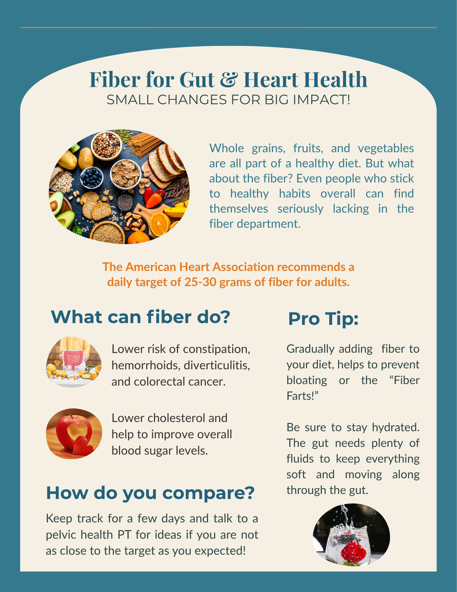 constipation gut health fiber bowel