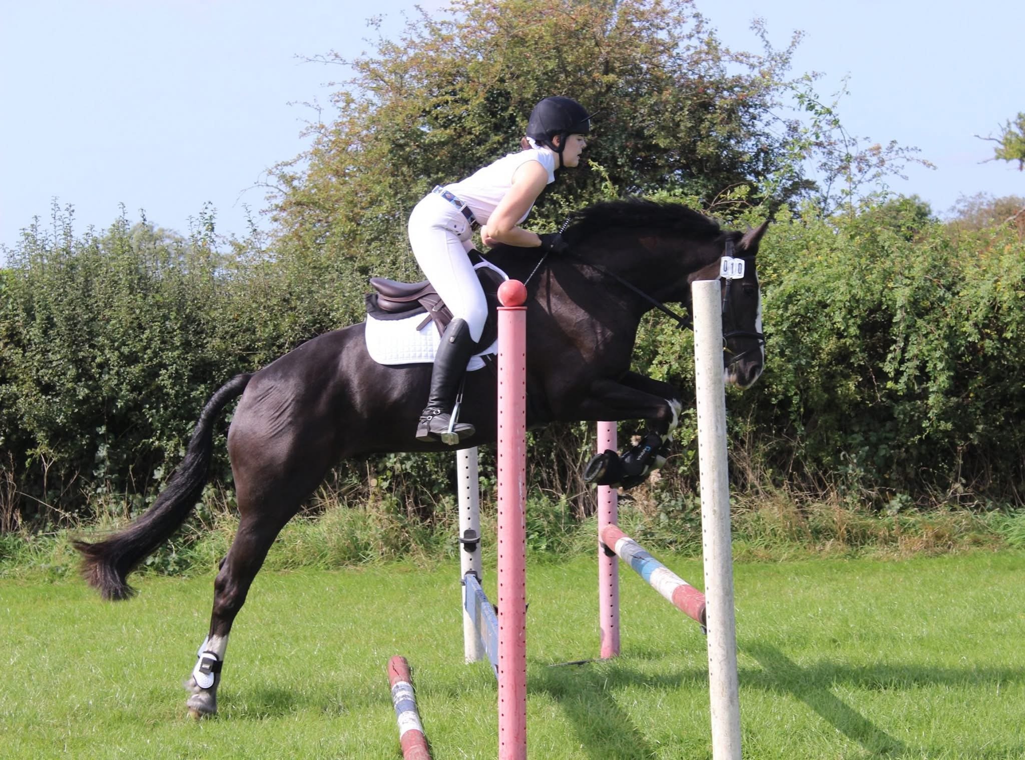 Bethany Stone wearing competition gear jumping a dark bay horse over a red and white oxer fence on a grass surface.