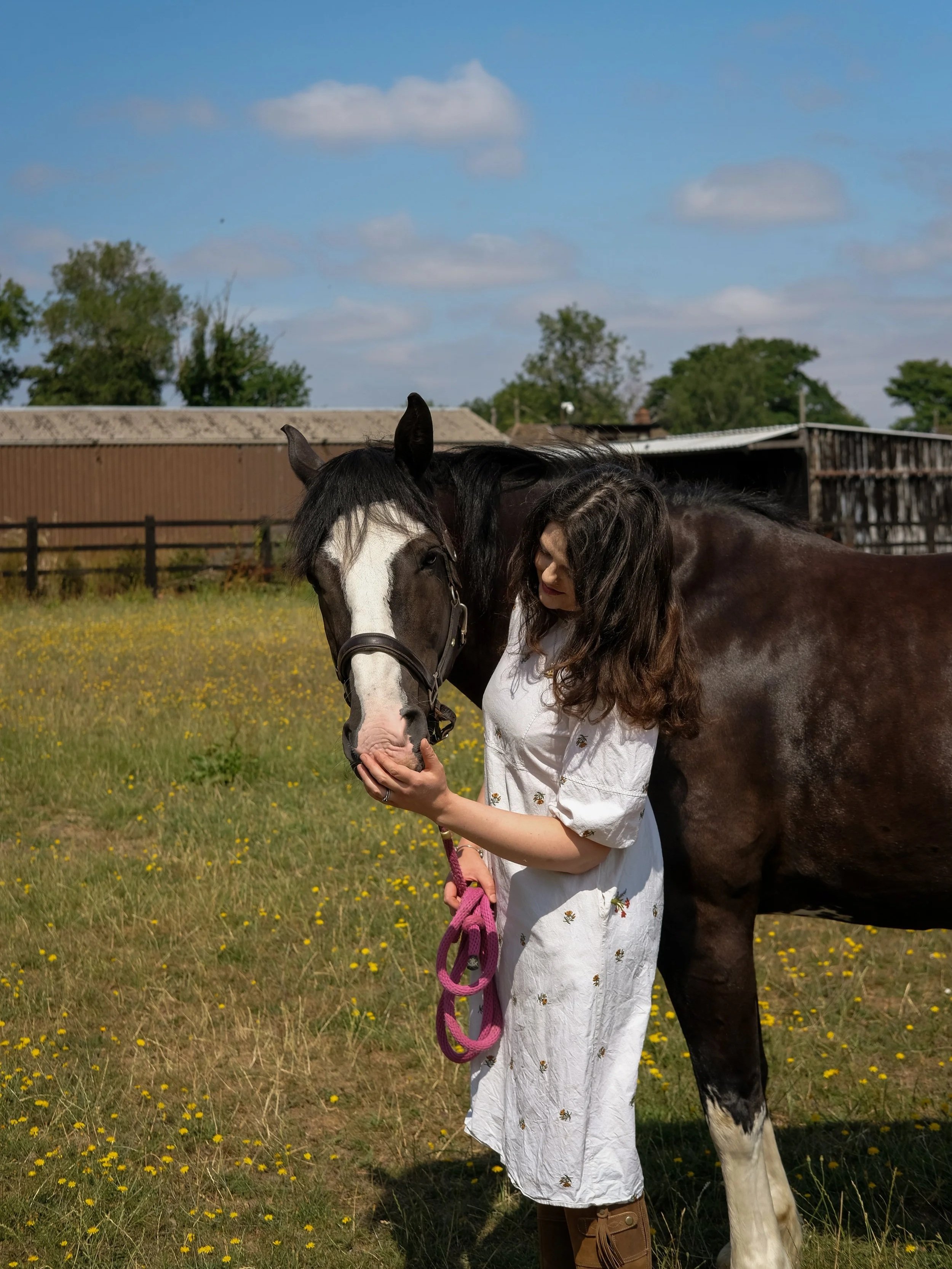 Dark bay horse stood on profile in a field, visible from the middle of the body to the head. Bethany Stone, dressed in a floral dress, holds a leadrope and strokes his nose with her left hand.