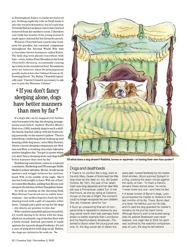 Third page of the 'Let sleeping dogs lie' piece featuring copy and an illustration of a bulldog sleeping in a four-poster bed